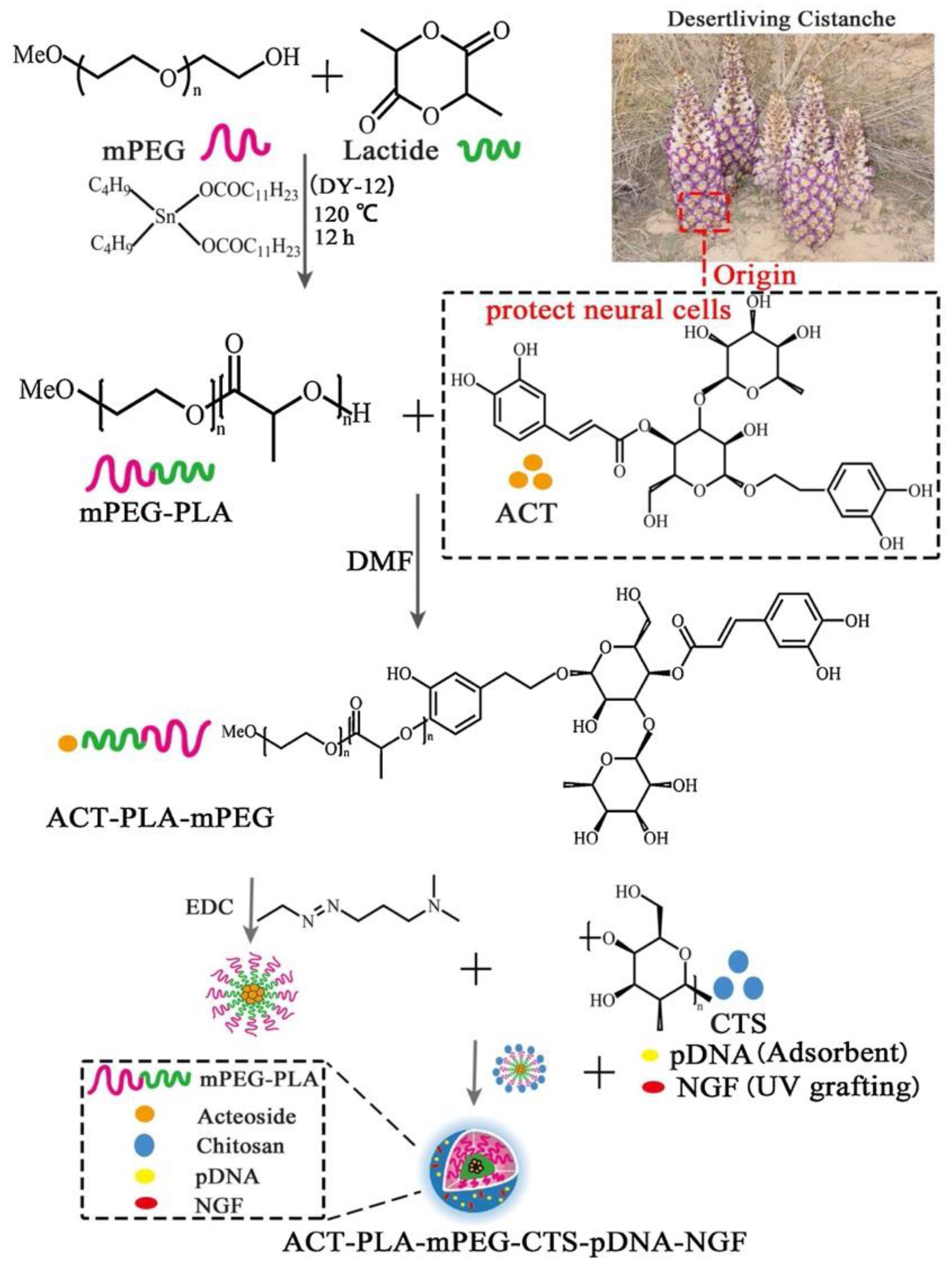 Pharmaceutics 14 02425 g007 Pharmaceutics 14 02425 g007