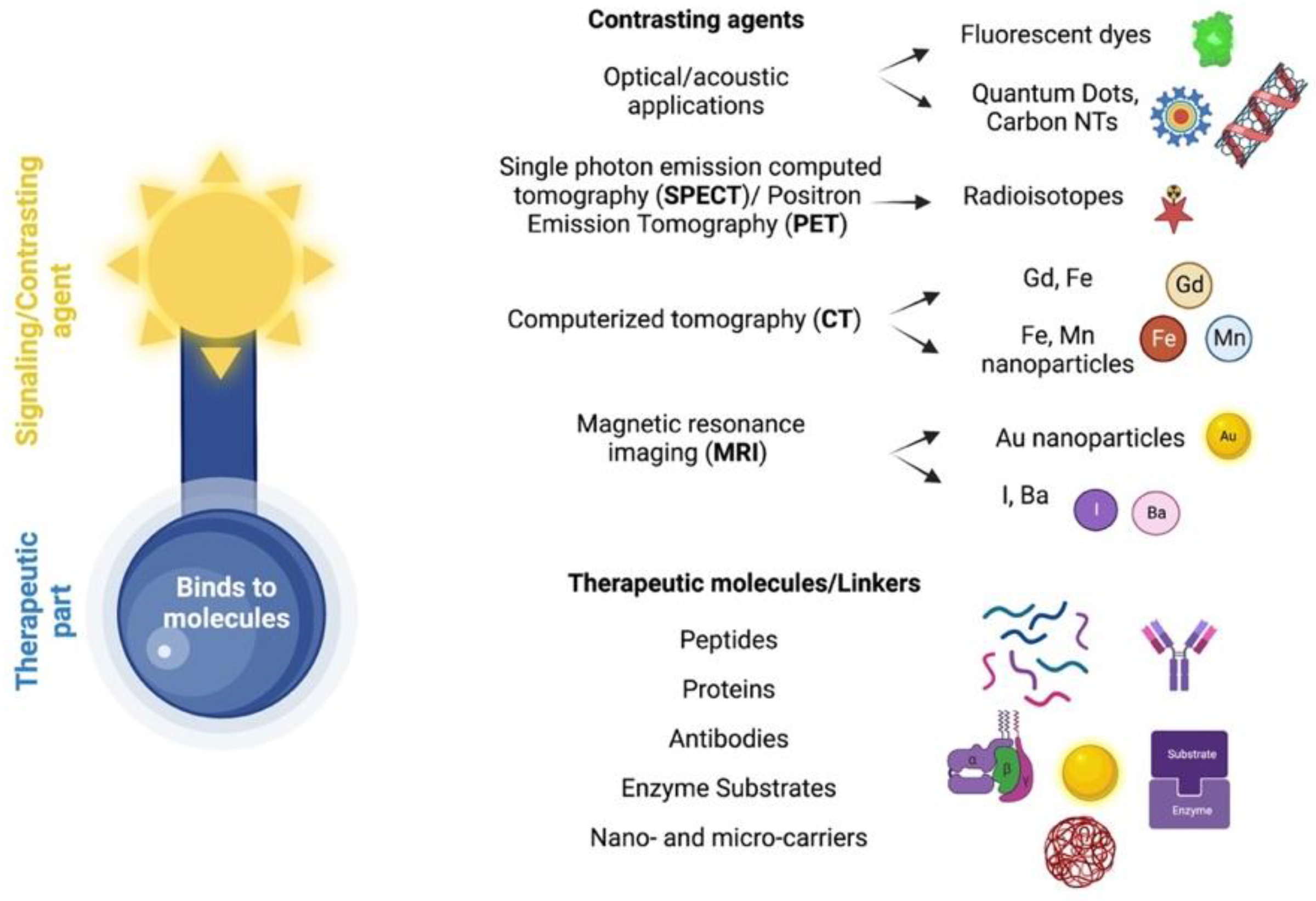 Pharmaceutics 14 02425 g009 Pharmaceutics 14 02425 g009