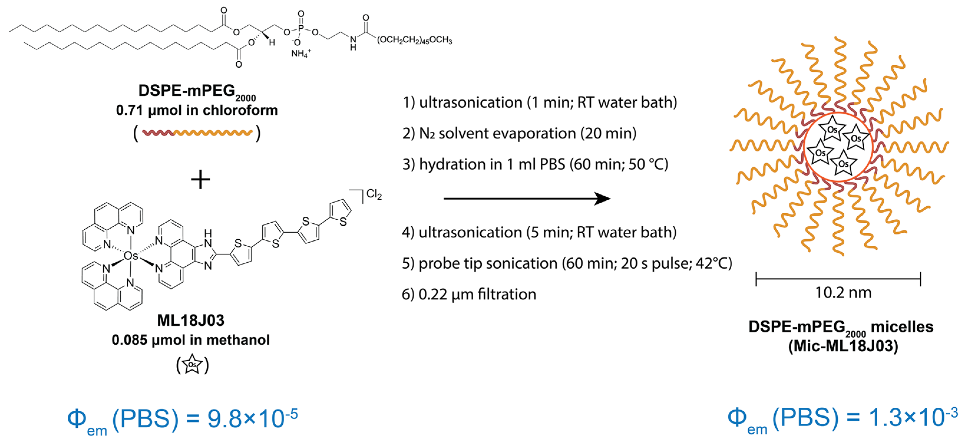 Pharmaceutics 14 02426 g001 Pharmaceutics 14 02426 g001