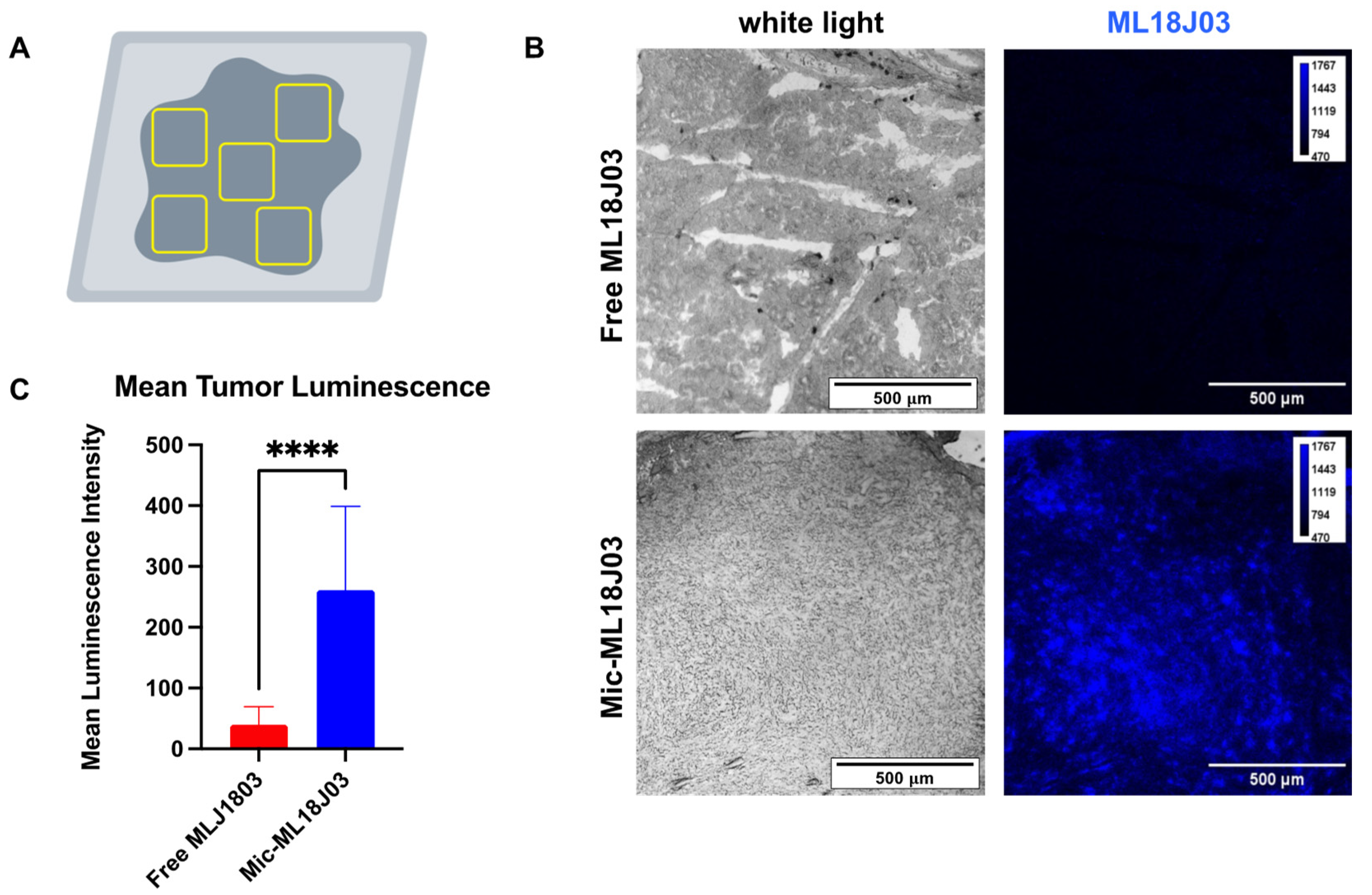 Pharmaceutics 14 02426 g006 Pharmaceutics 14 02426 g006