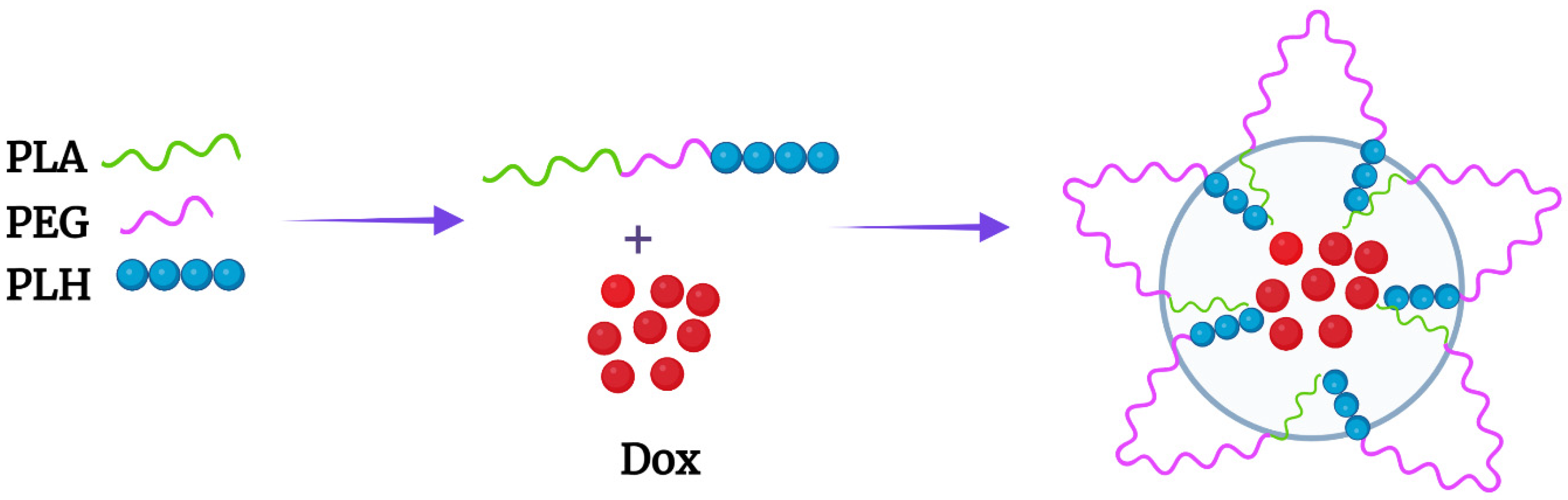 Pharmaceutics 14 02427 g001