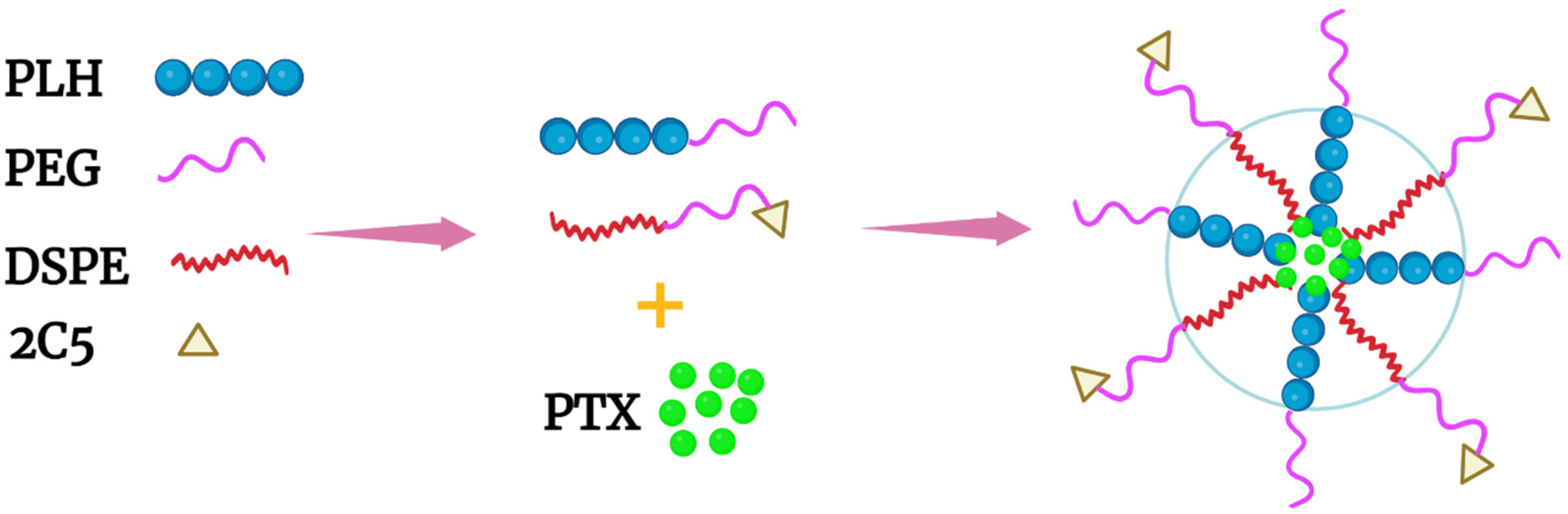 Pharmaceutics 14 02427 g003