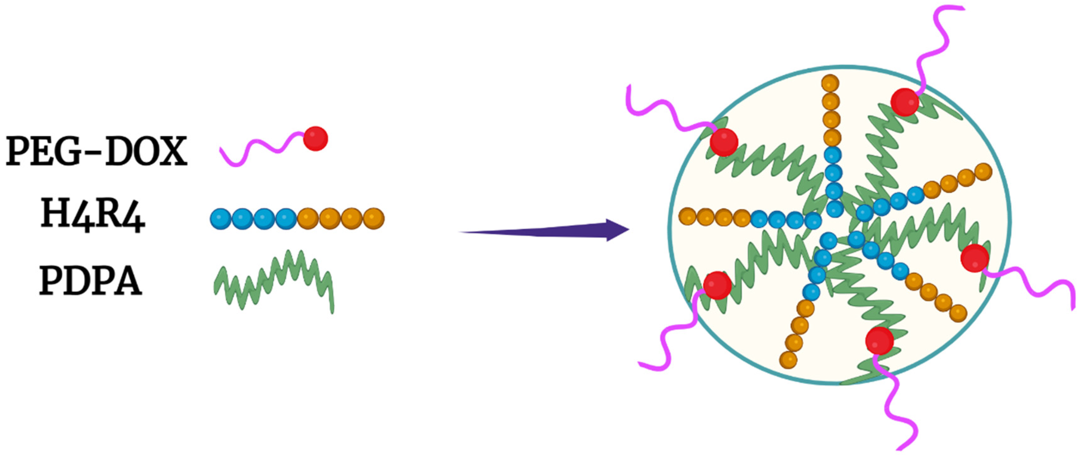 Pharmaceutics 14 02427 g004
