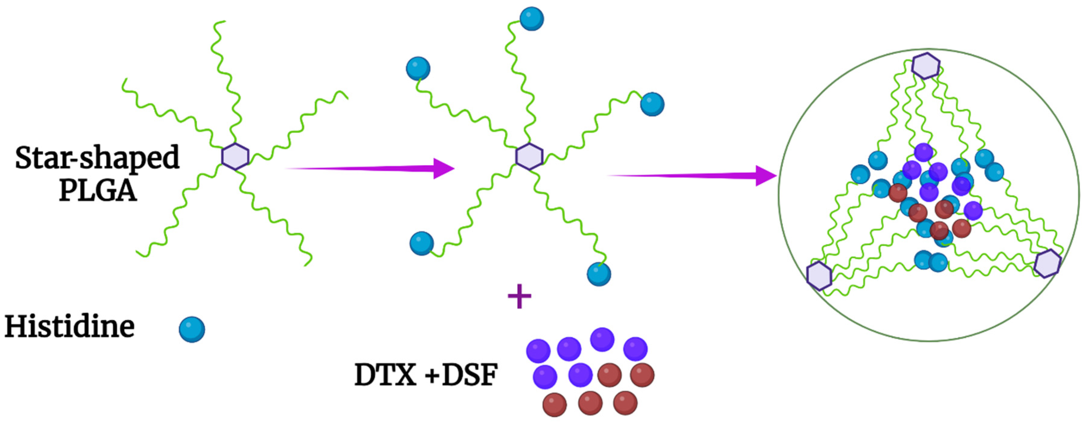 Pharmaceutics 14 02427 g007