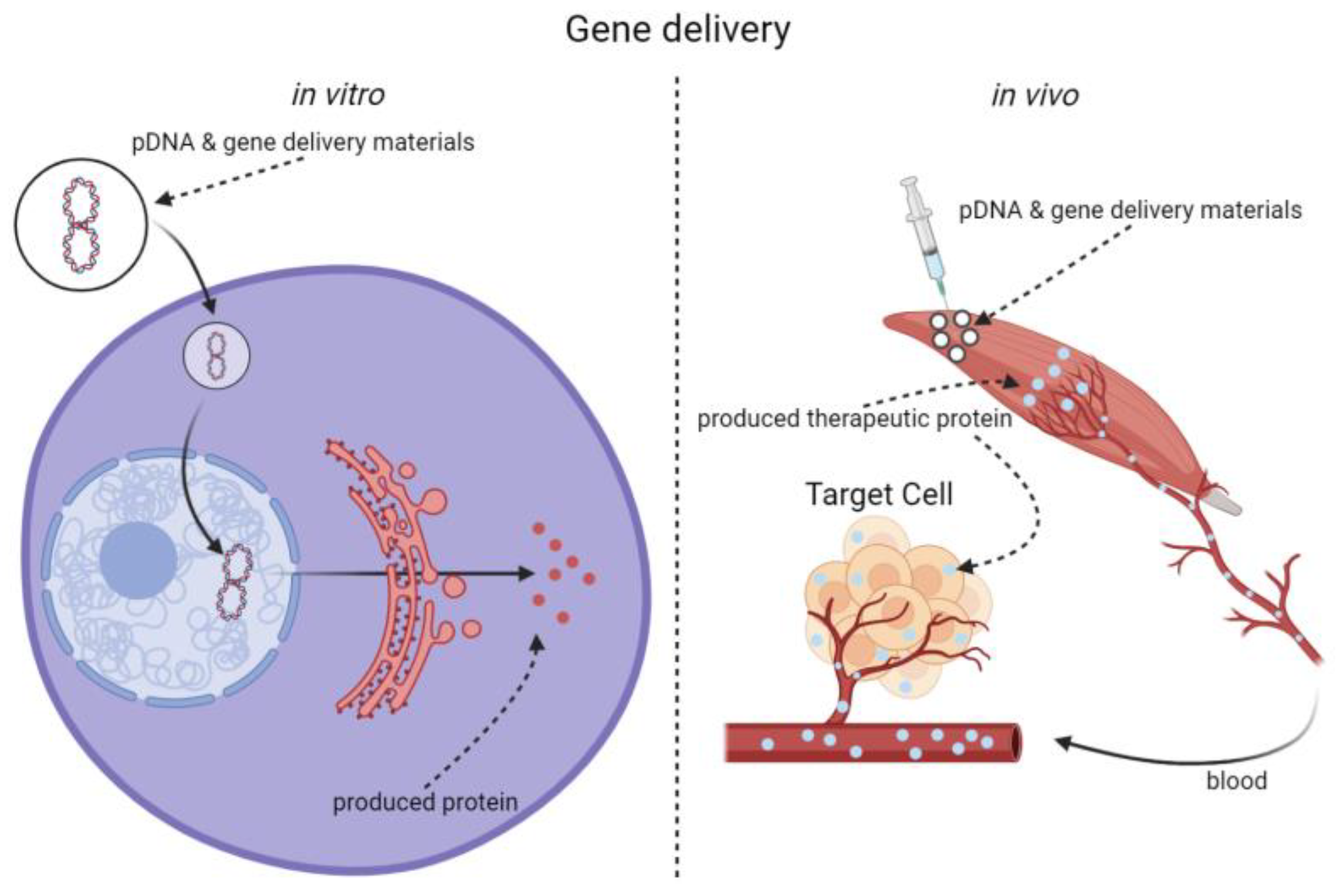 Pharmaceutics 14 02428 sch001