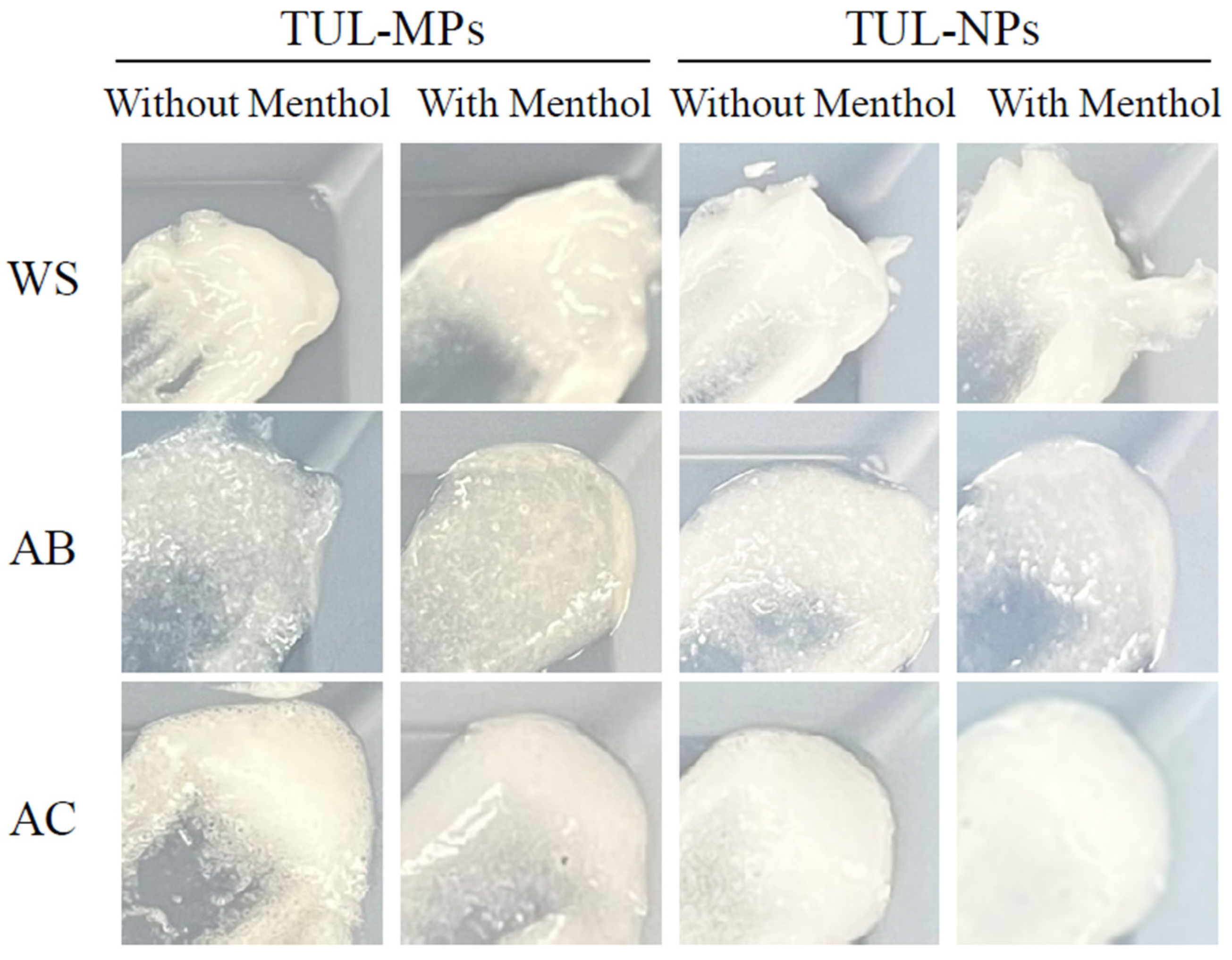 Pharmaceutics 14 02431 g002 Pharmaceutics 14 02431 g002
