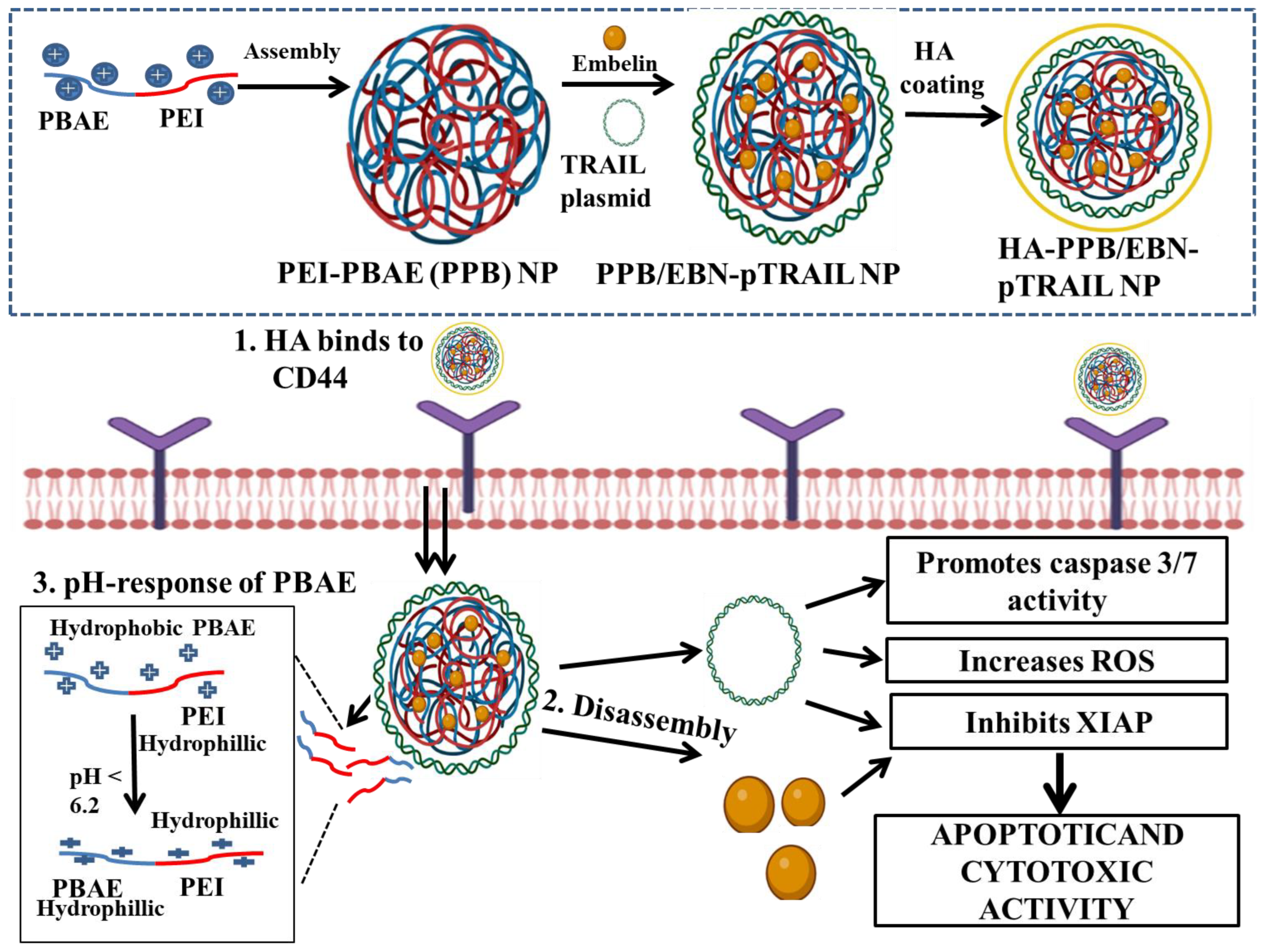 Pharmaceutics 14 02432 g001 Pharmaceutics 14 02432 g001