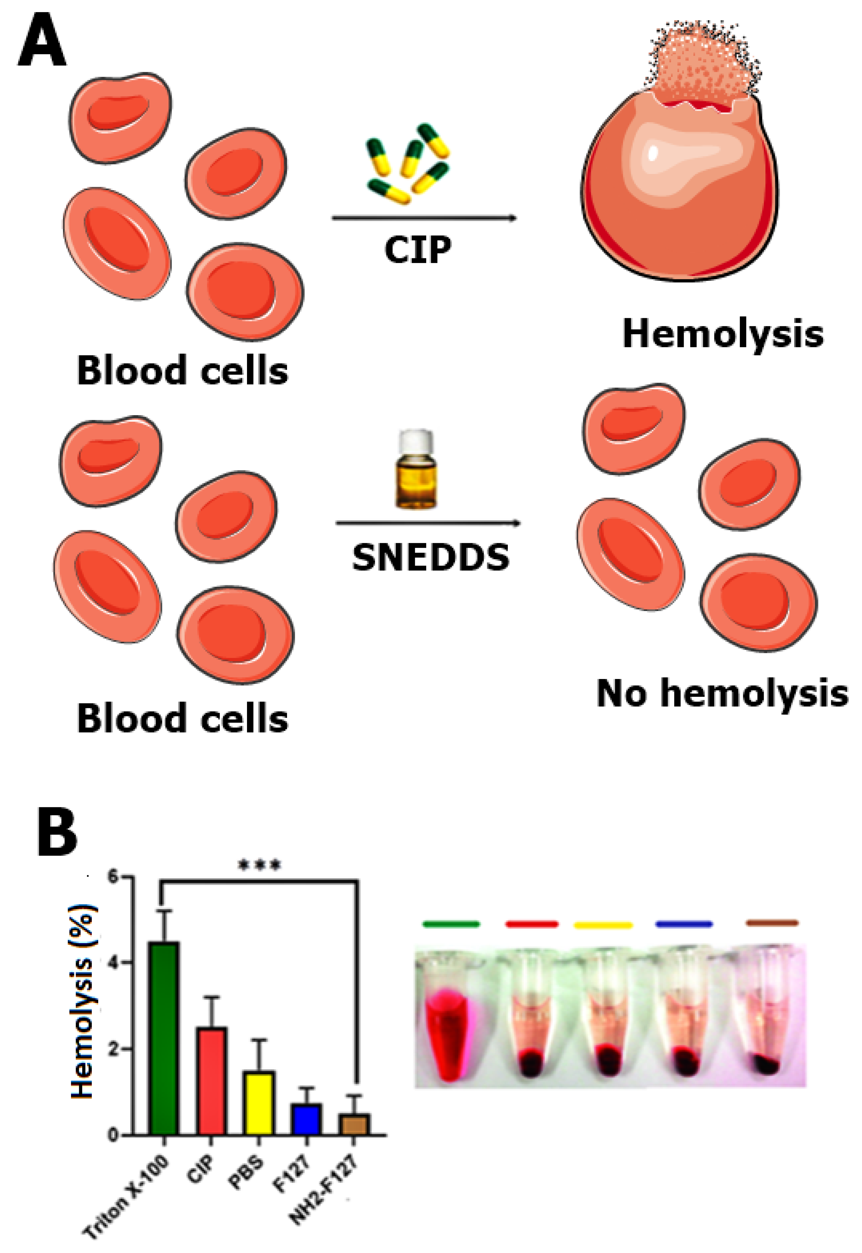 Pharmaceutics 14 02433 g008