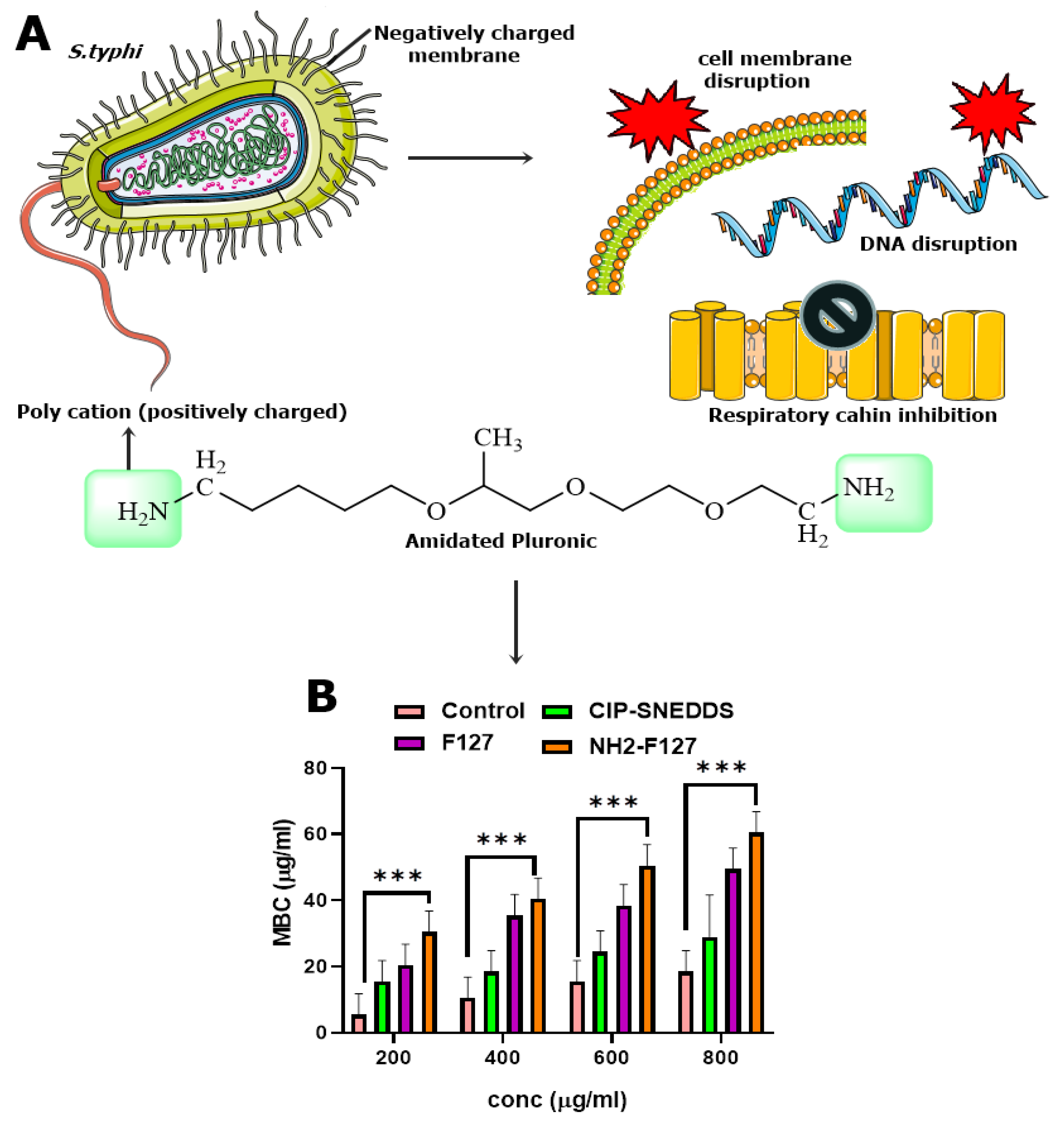 Amidated Pluronic Decorated Muco-Penetrating Self-Nano Emulsifying Drug ...