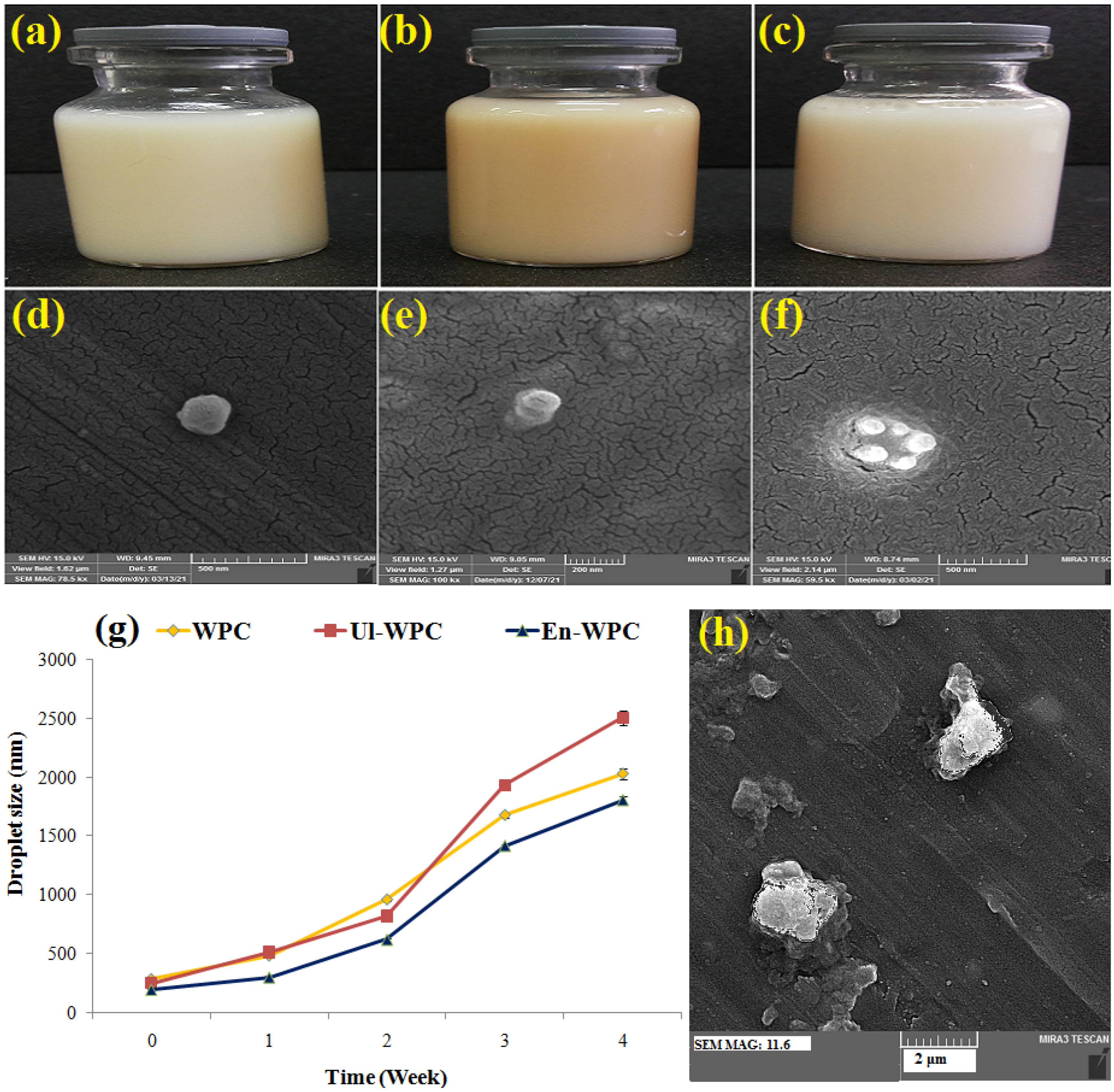 Pharmaceutics 14 02434 g004 Pharmaceutics 14 02434 g004