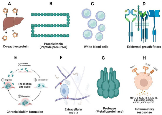 A Review of Immunomodulatory Reprogramming by Probiotics in