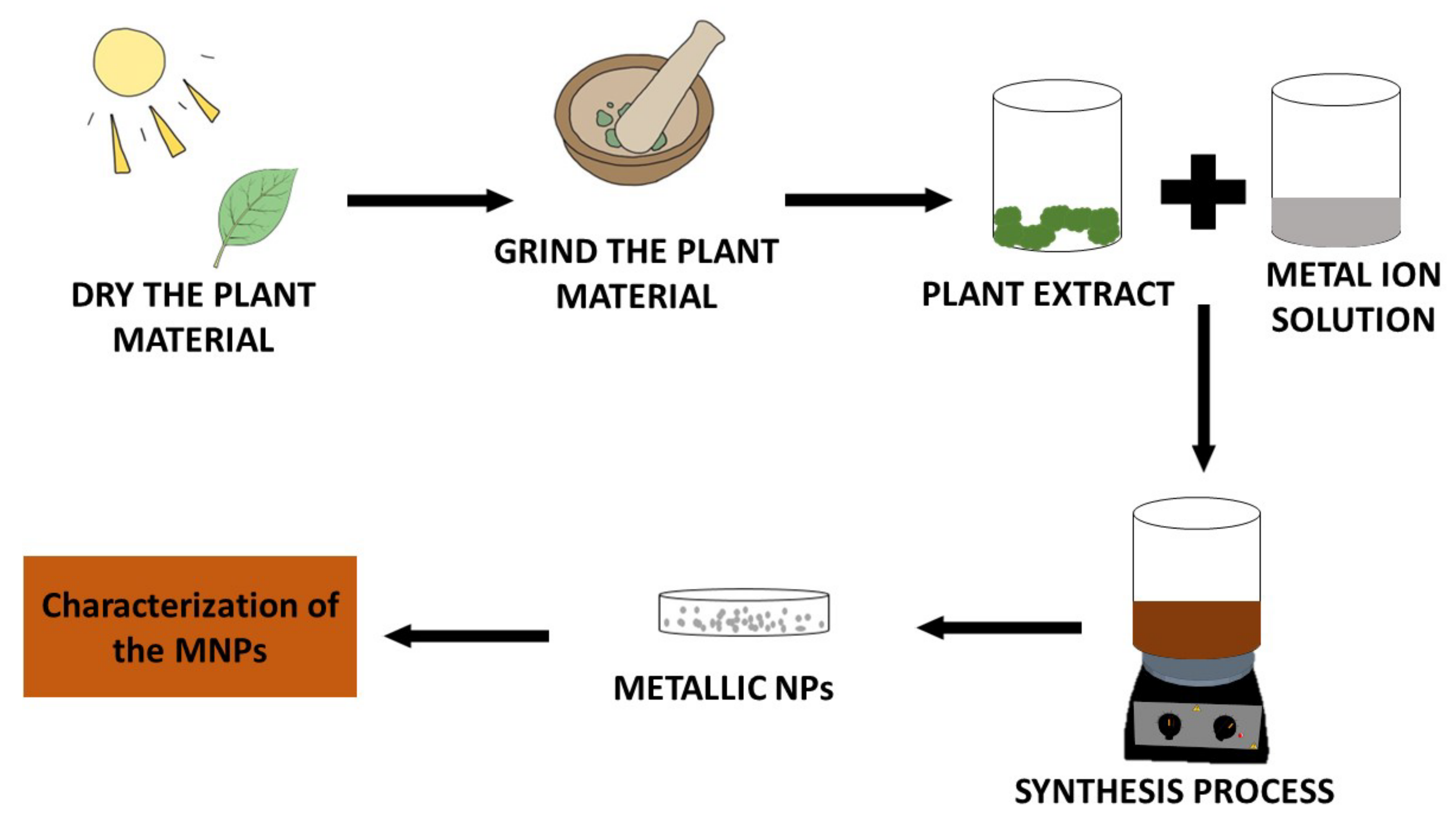 Pharmaceutics 14 02437 g002 Pharmaceutics 14 02437 g002