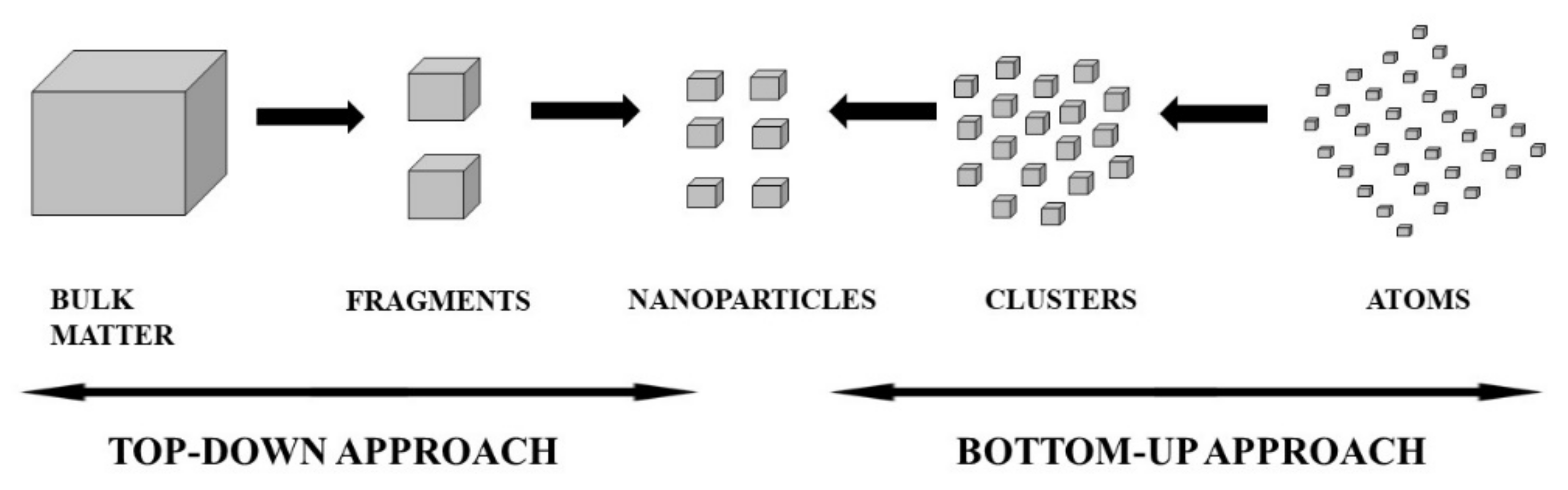 Pharmaceutics 14 02437 g003 Pharmaceutics 14 02437 g003