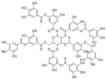 Pharmaceutics 14 02437 i002 Pharmaceutics 14 02437 i002