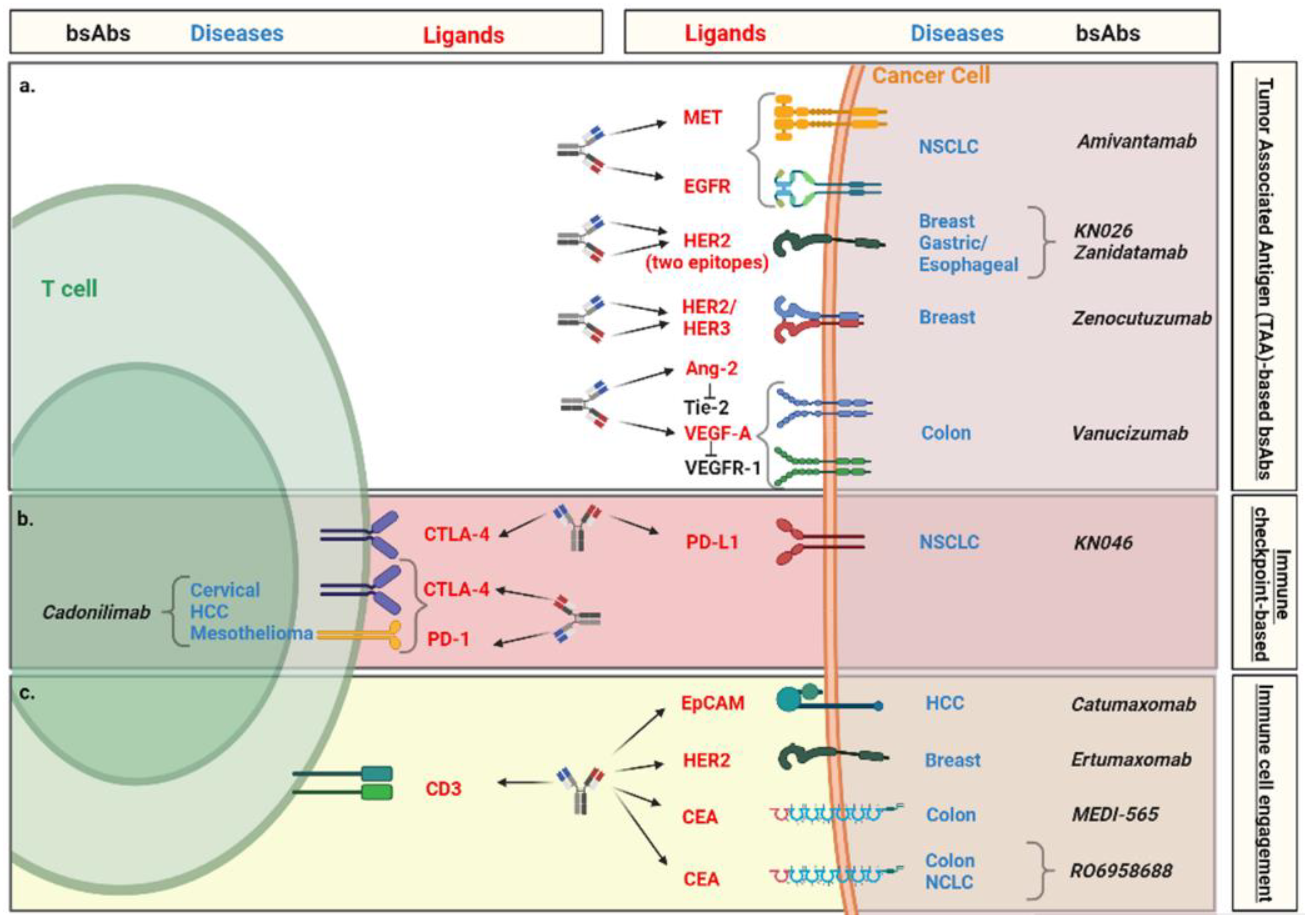 Pharmaceutics 14 02442 g004 Pharmaceutics 14 02442 g004