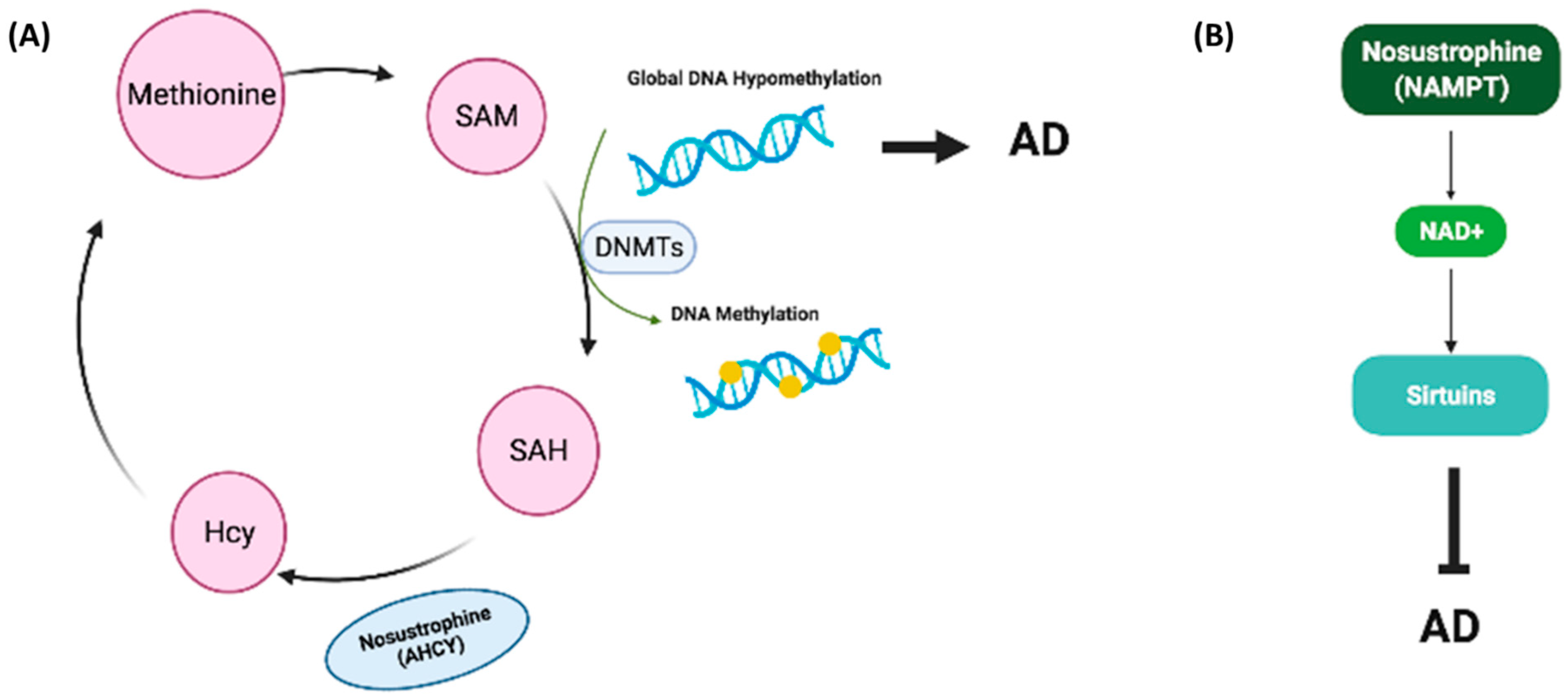 Pharmaceutics 14 02447 g013 Pharmaceutics 14 02447 g013