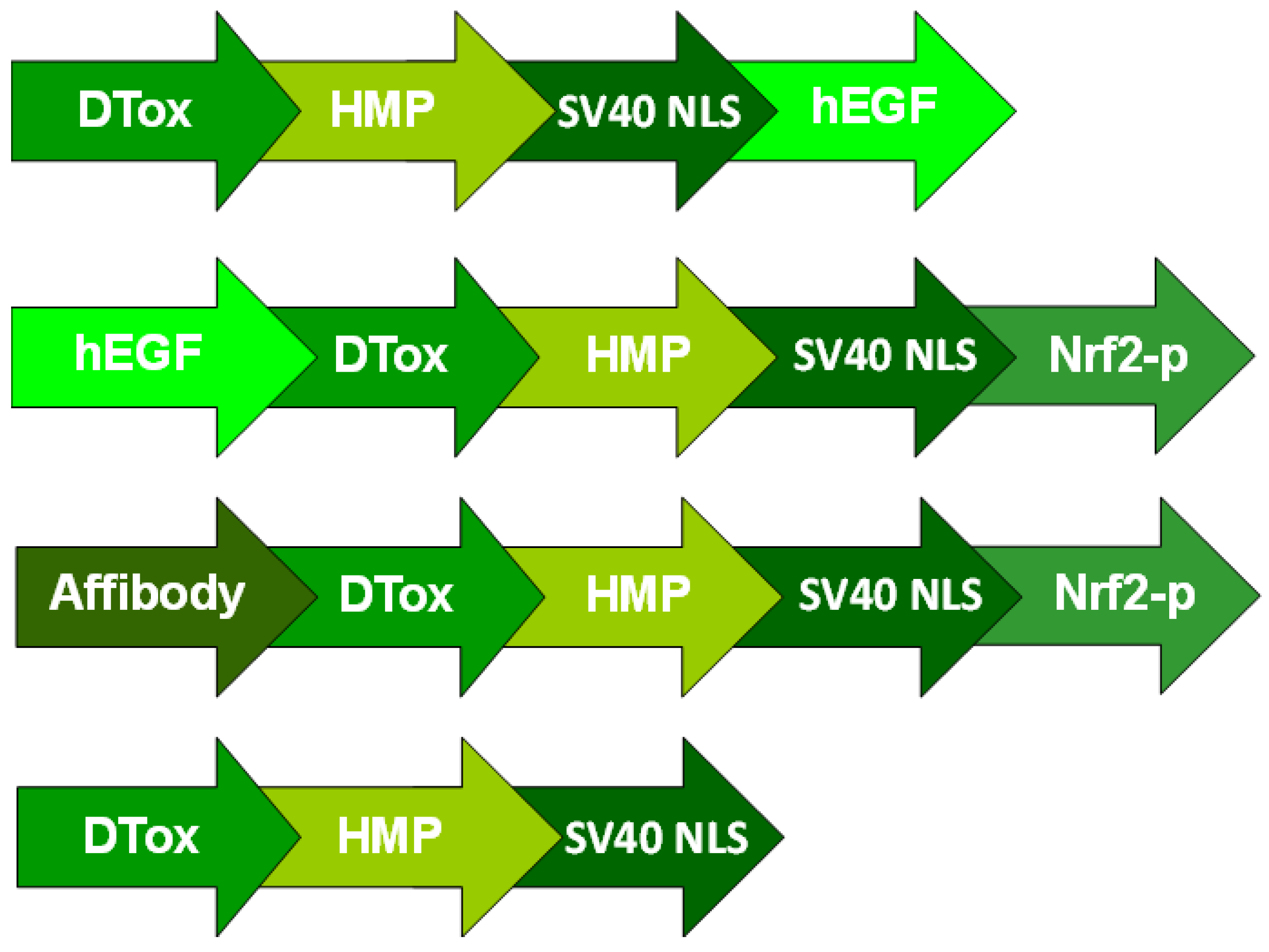 Pharmaceutics 14 02448 g001