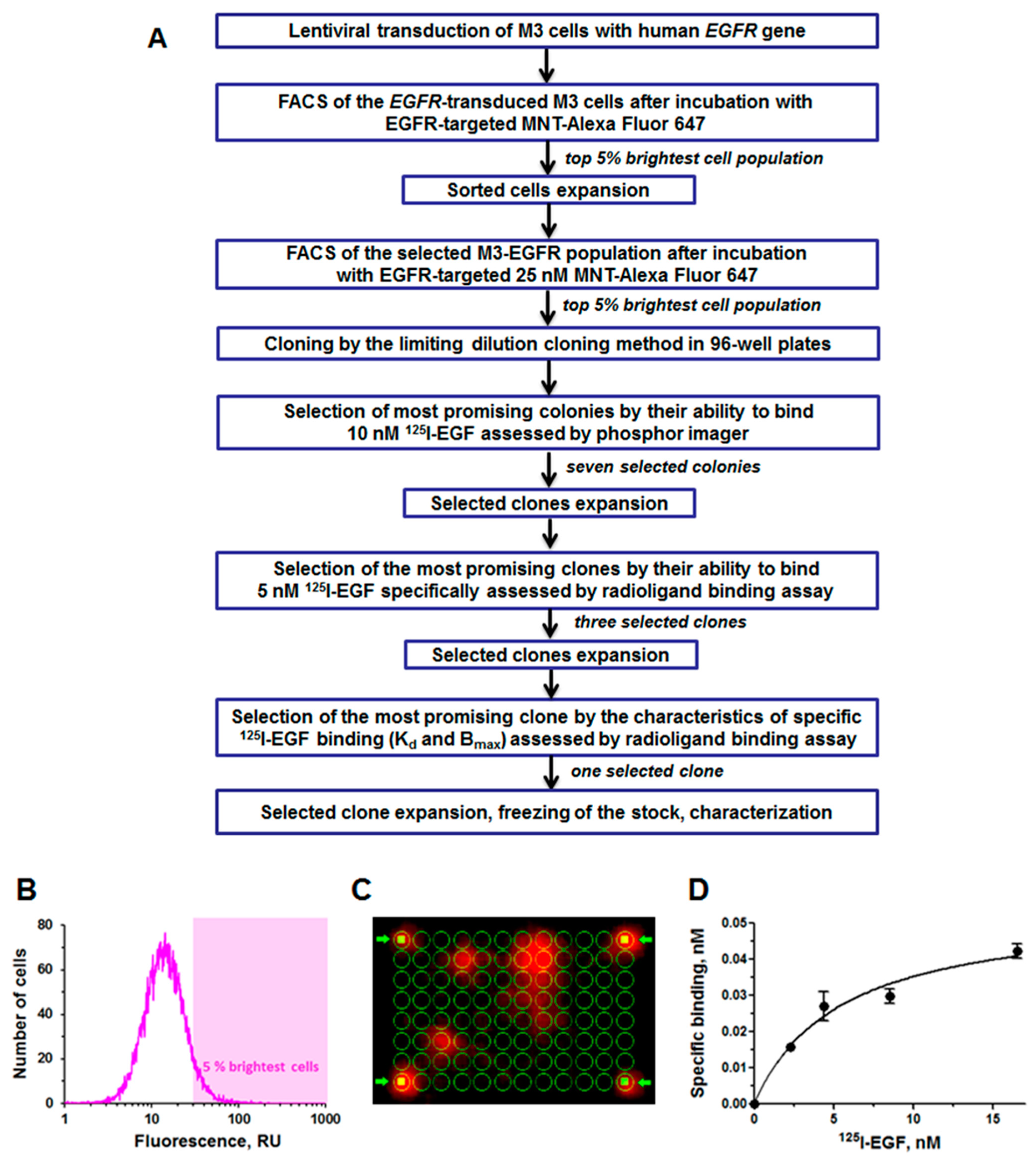Pharmaceutics 14 02448 g002