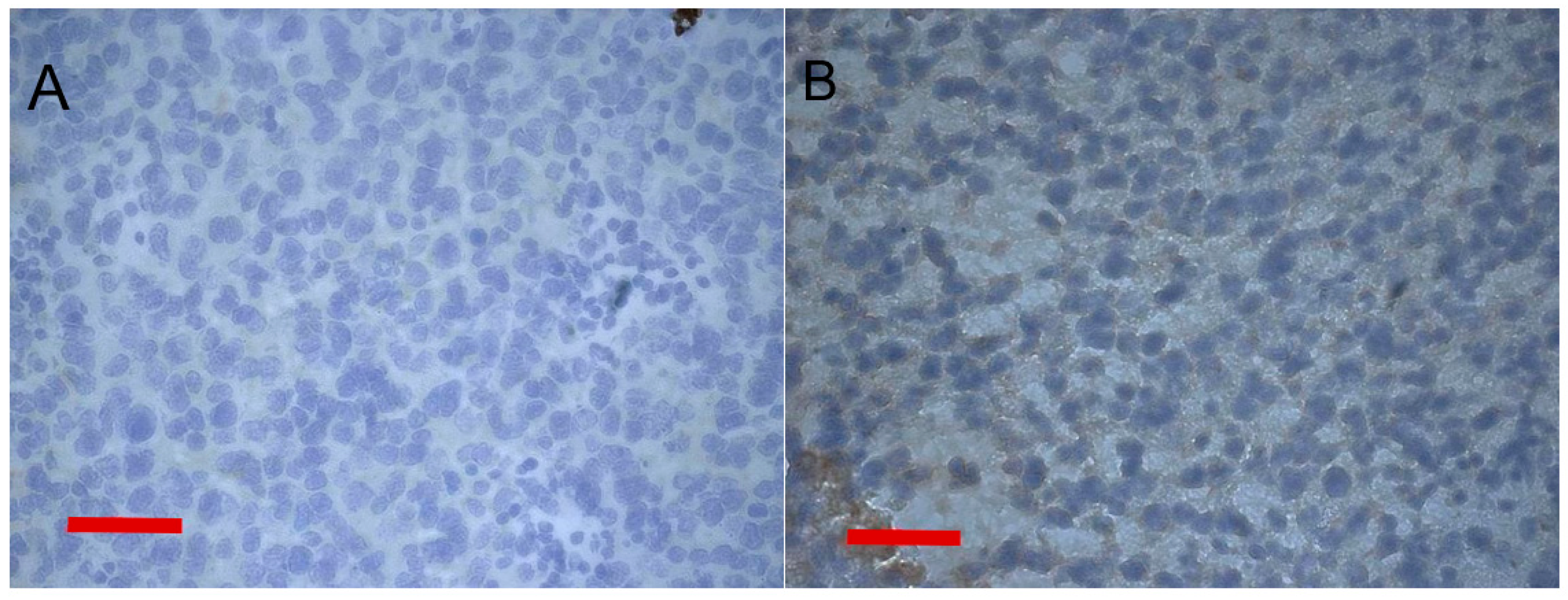 Pharmaceutics 14 02448 g007