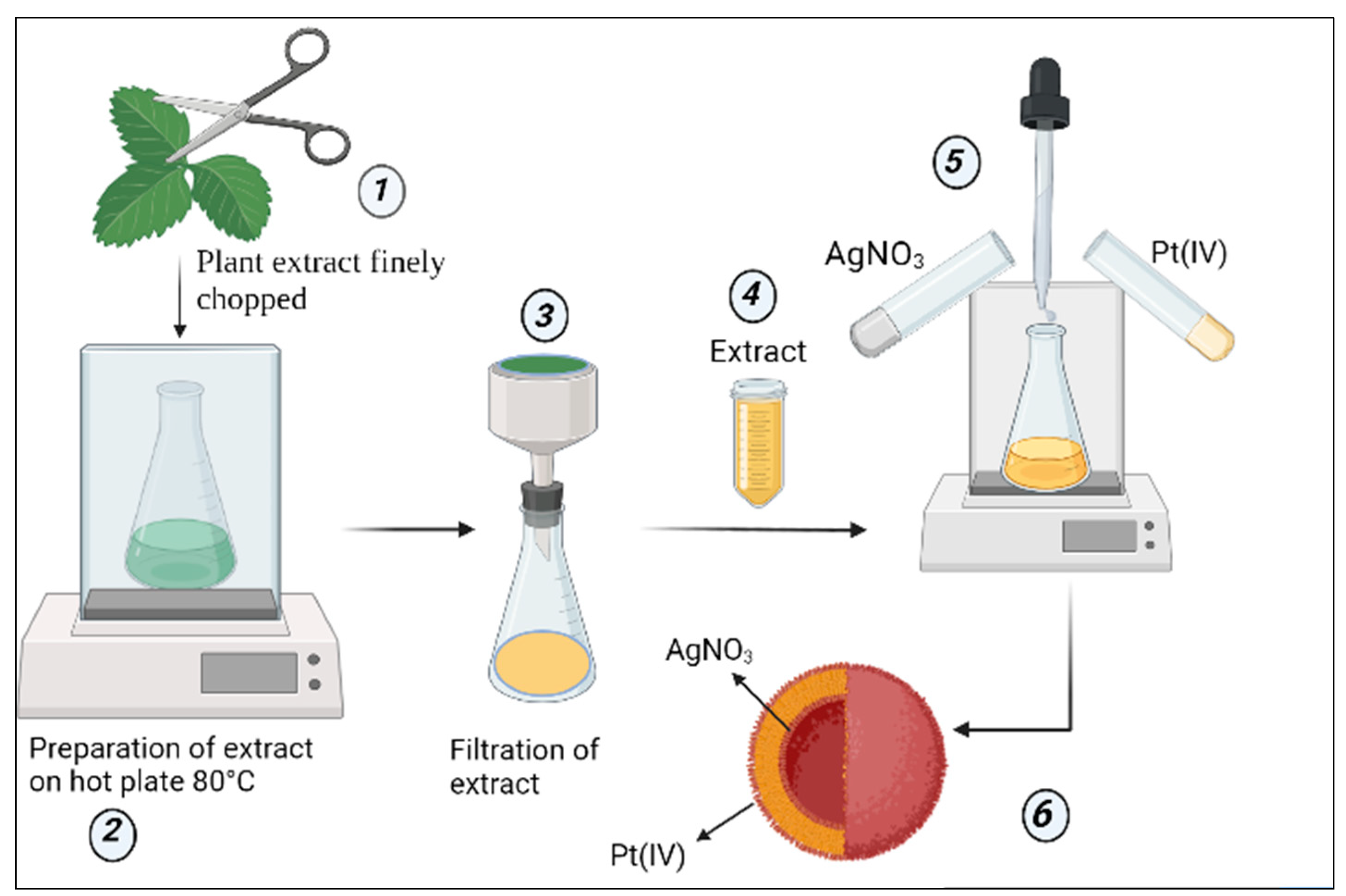 Pharmaceutics 14 02457 g001