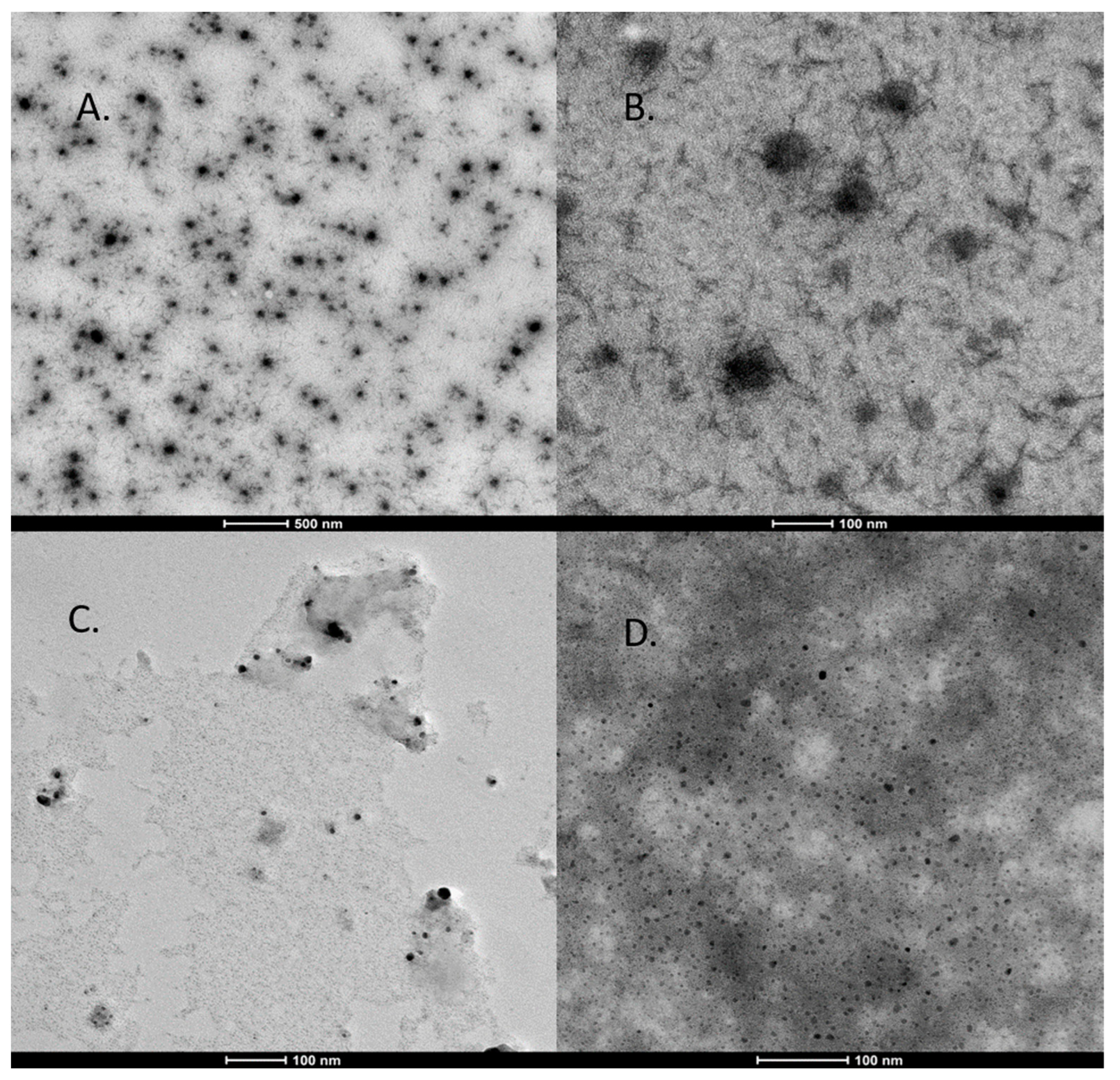 Pharmaceutics 14 02457 g006