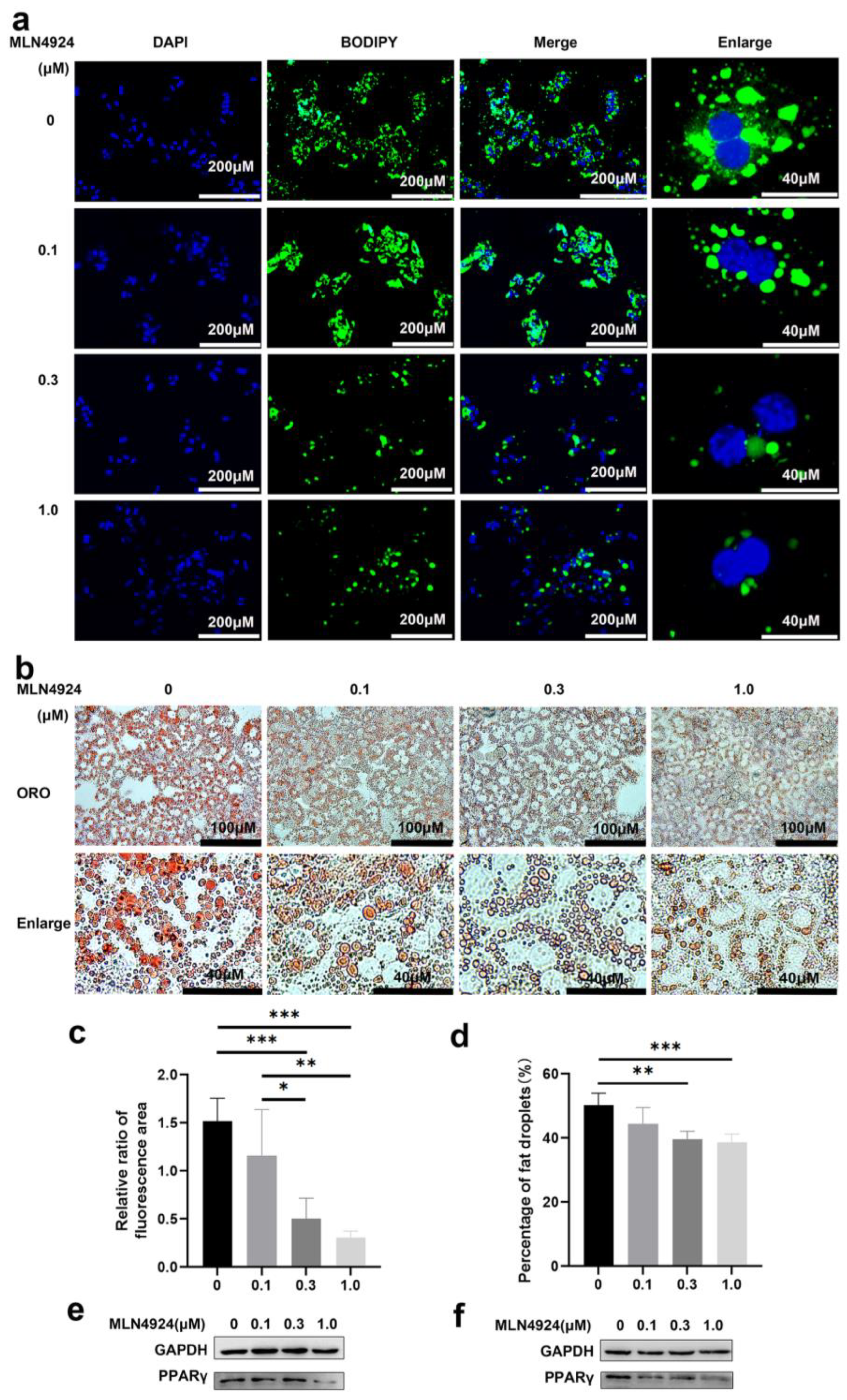 Pharmaceutics 14 02460 g002 Pharmaceutics 14 02460 g002