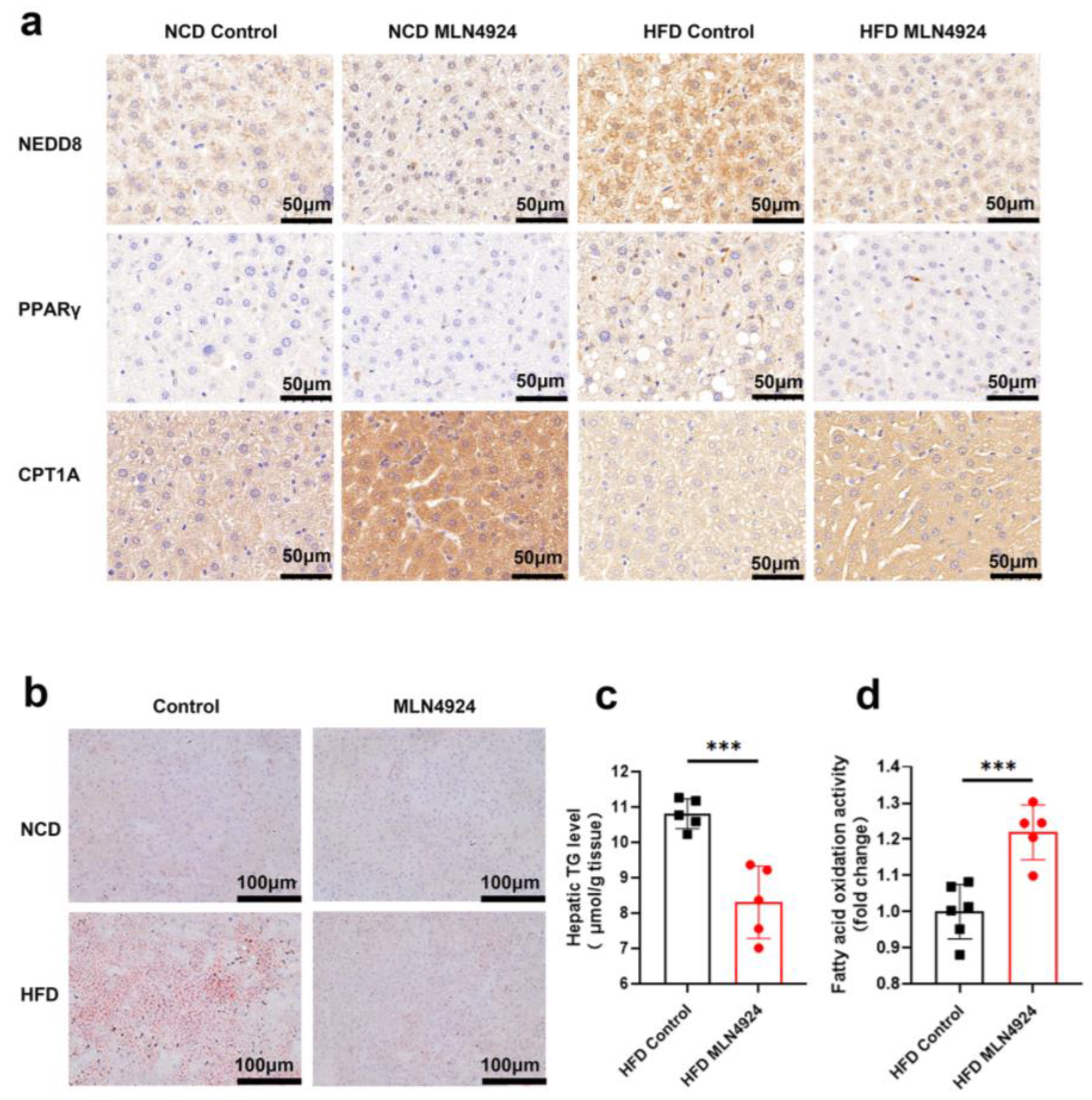 Pharmaceutics 14 02460 g006 Pharmaceutics 14 02460 g006