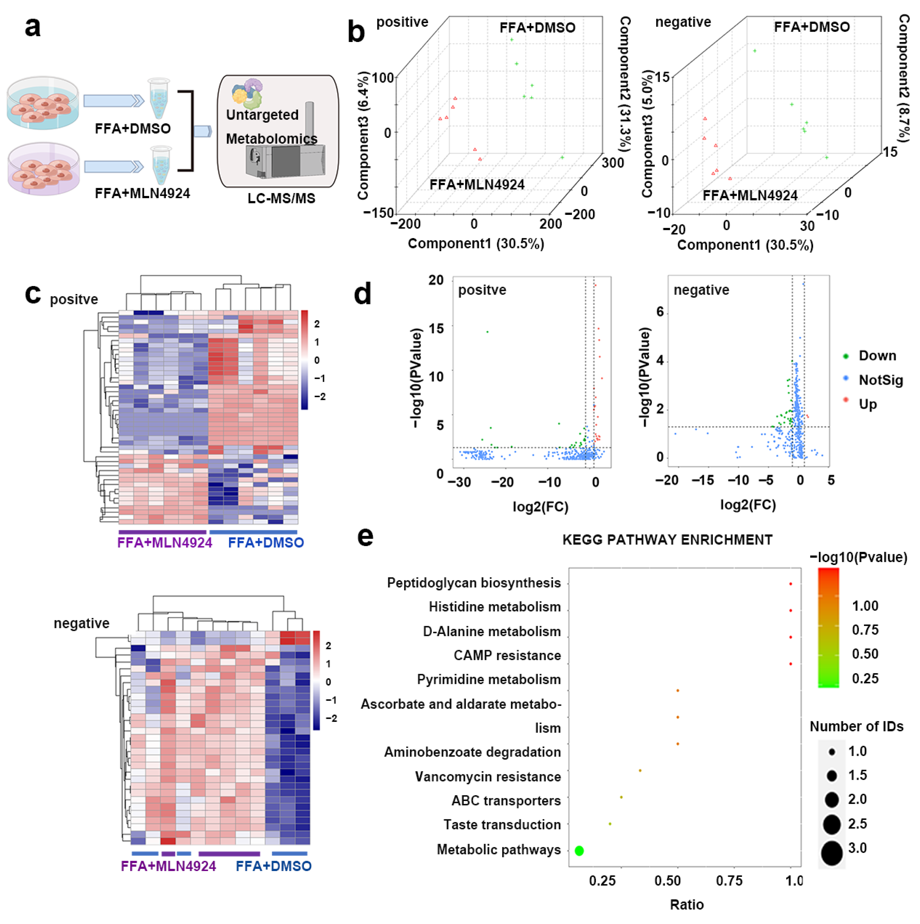 Pharmaceutics 14 02460 g007 Pharmaceutics 14 02460 g007