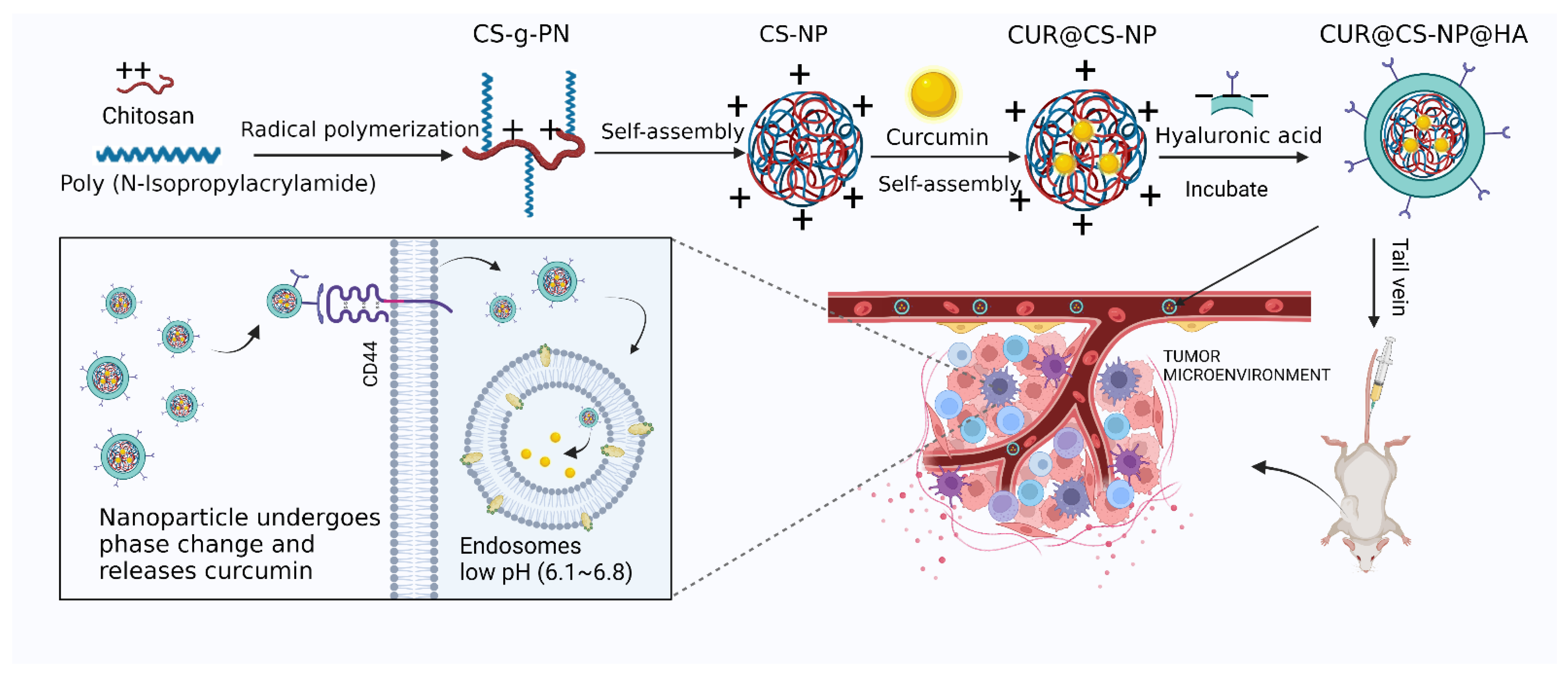 Pharmaceutics 14 02461 g001 Pharmaceutics 14 02461 g001
