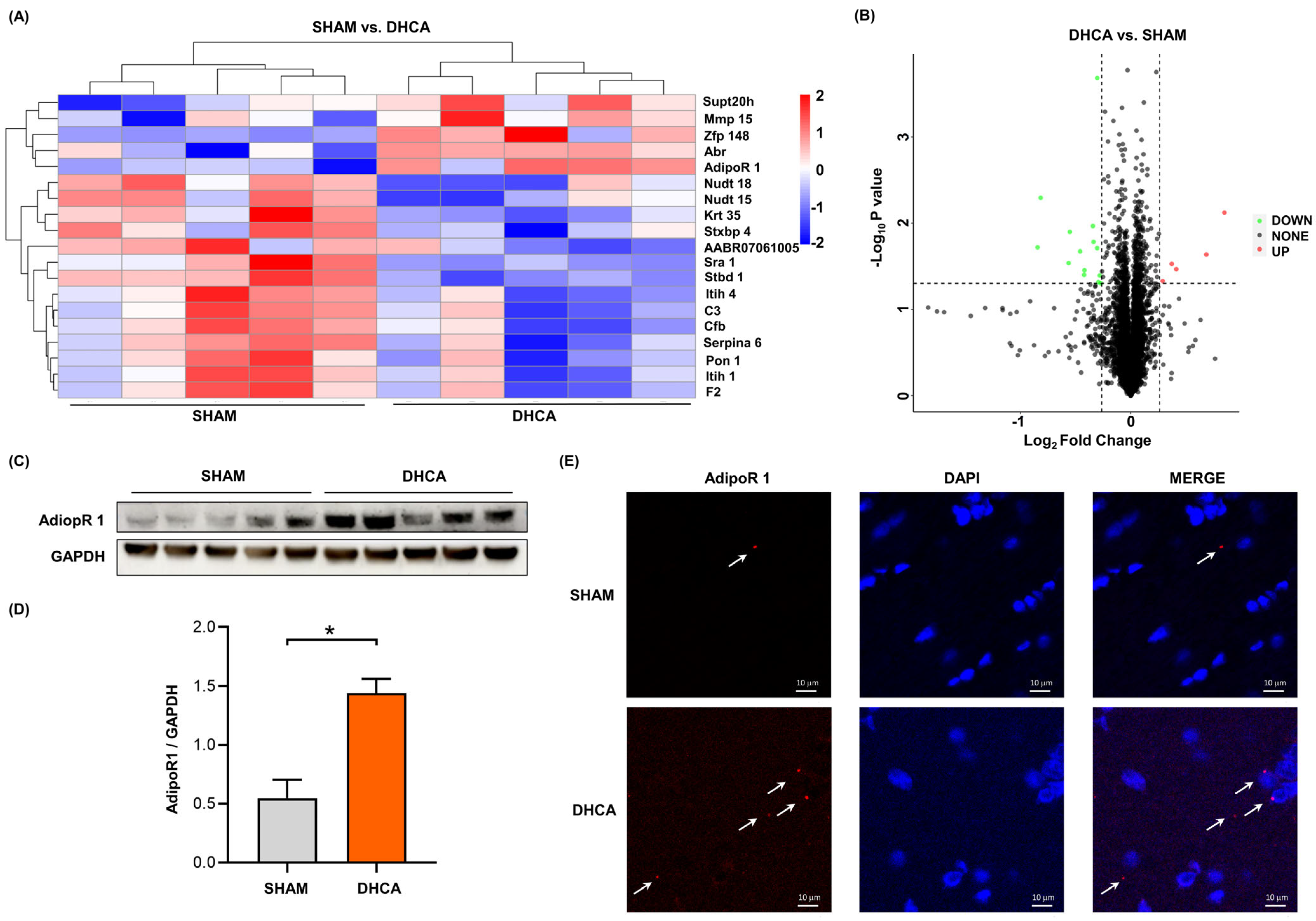 Pharmaceutics 14 02467 g001 Pharmaceutics 14 02467 g001