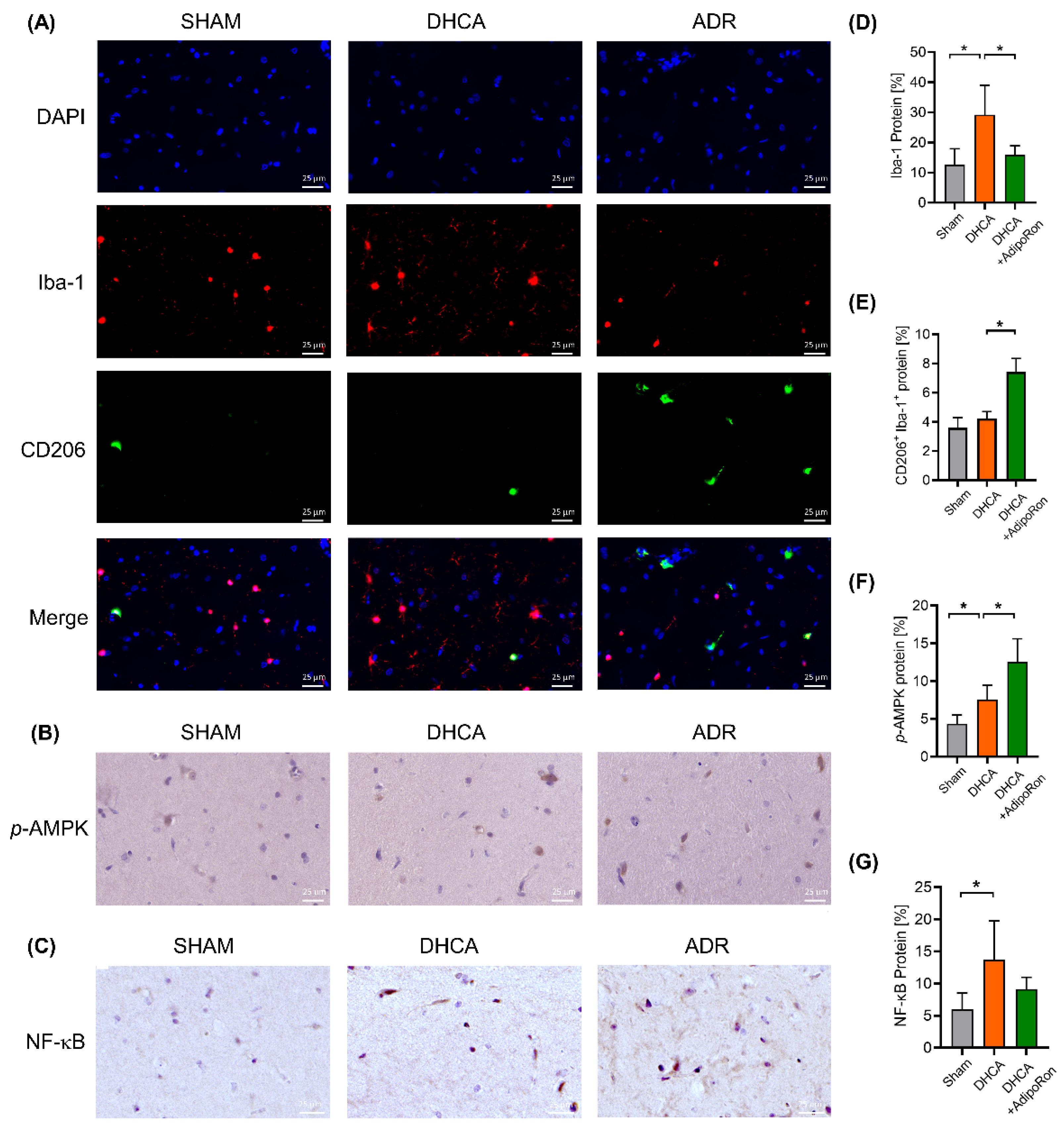 Pharmaceutics 14 02467 g005 Pharmaceutics 14 02467 g005