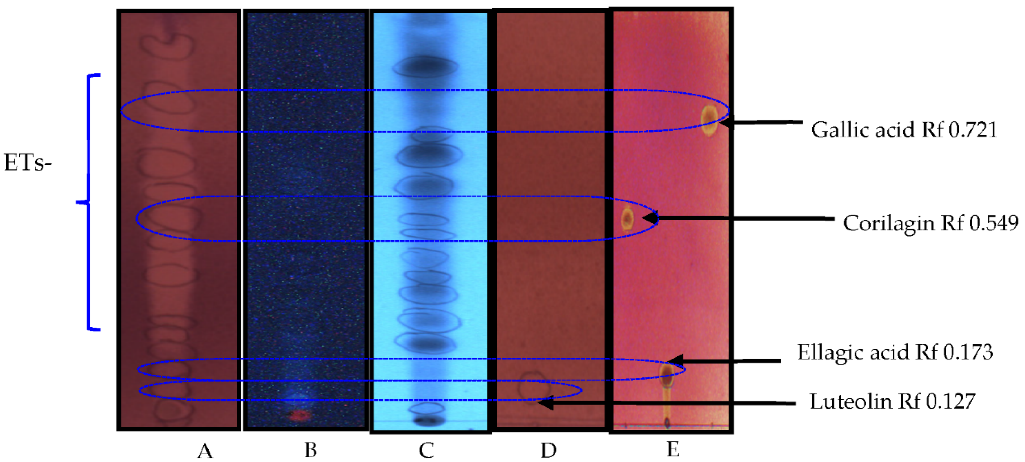 Pharmaceutics 14 02469 g002 Pharmaceutics 14 02469 g002