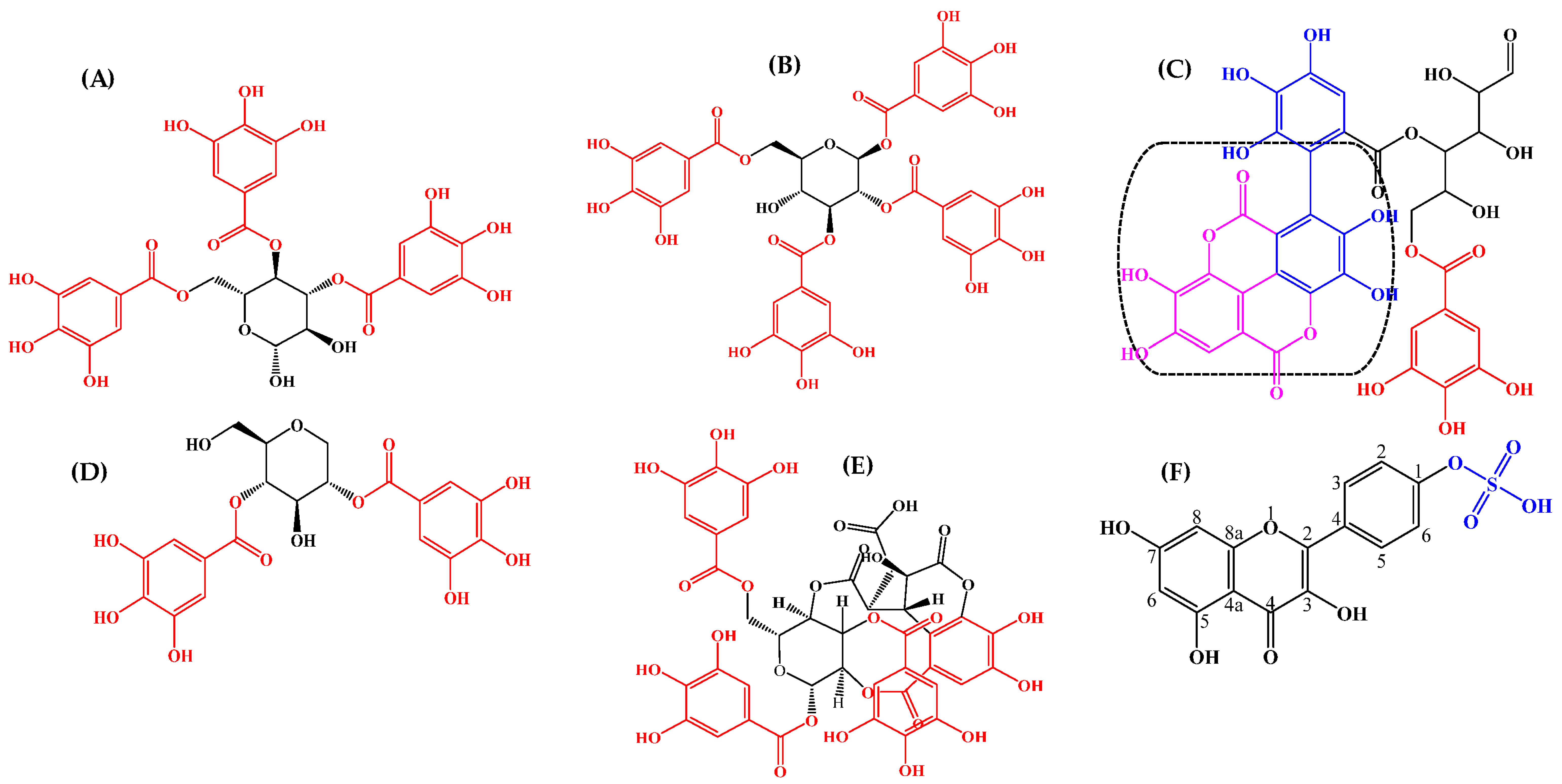 Pharmaceutics 14 02469 g005 Pharmaceutics 14 02469 g005