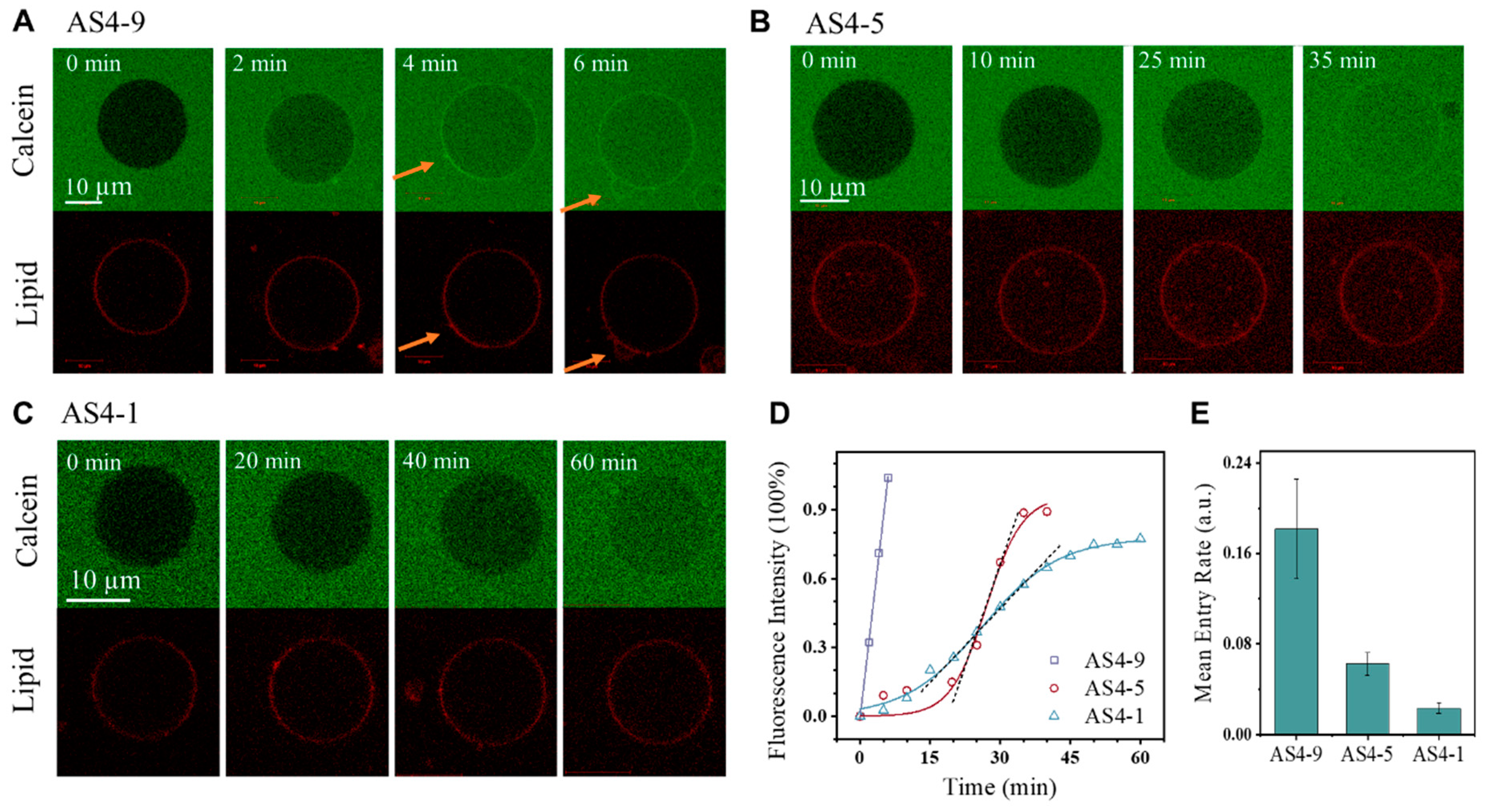 Pharmaceutics 14 02471 g002