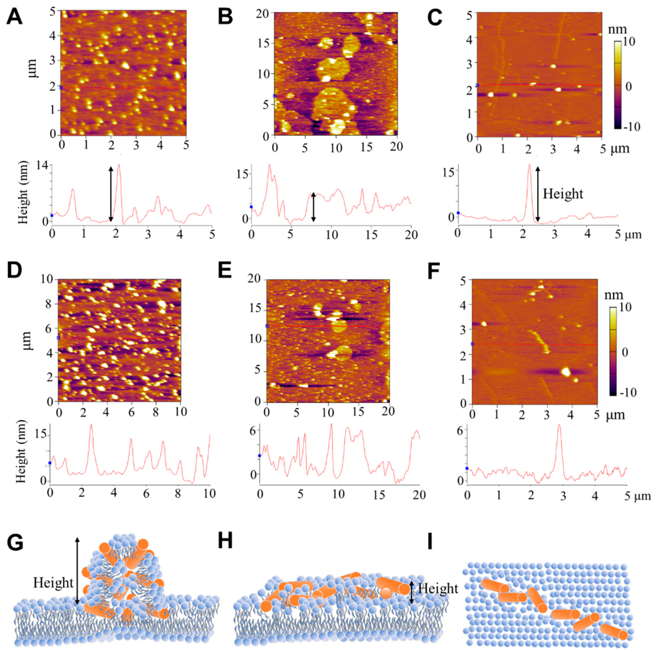 Pharmaceutics 14 02471 g003