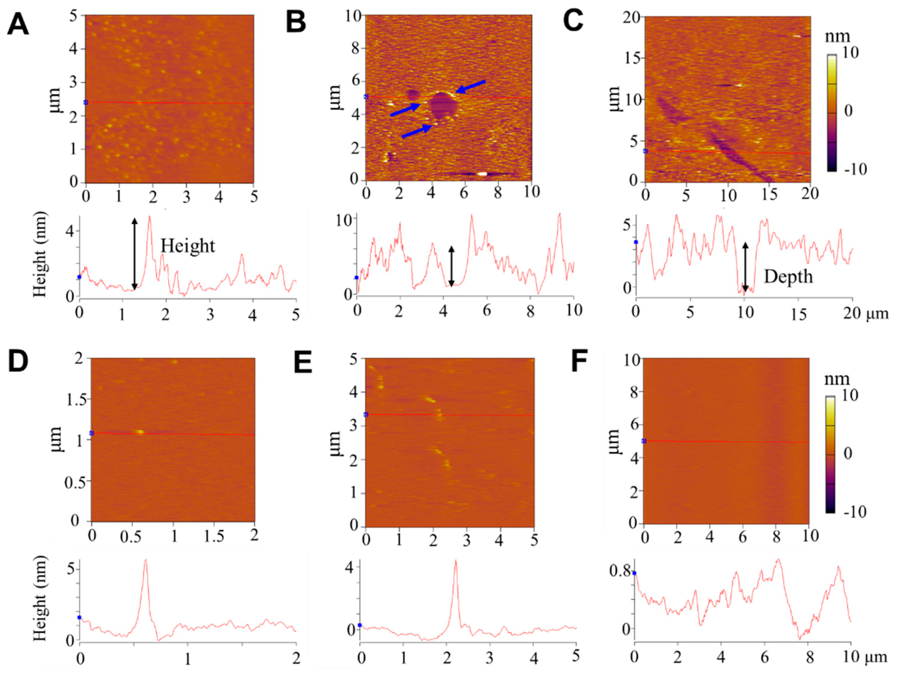 Pharmaceutics 14 02471 g004