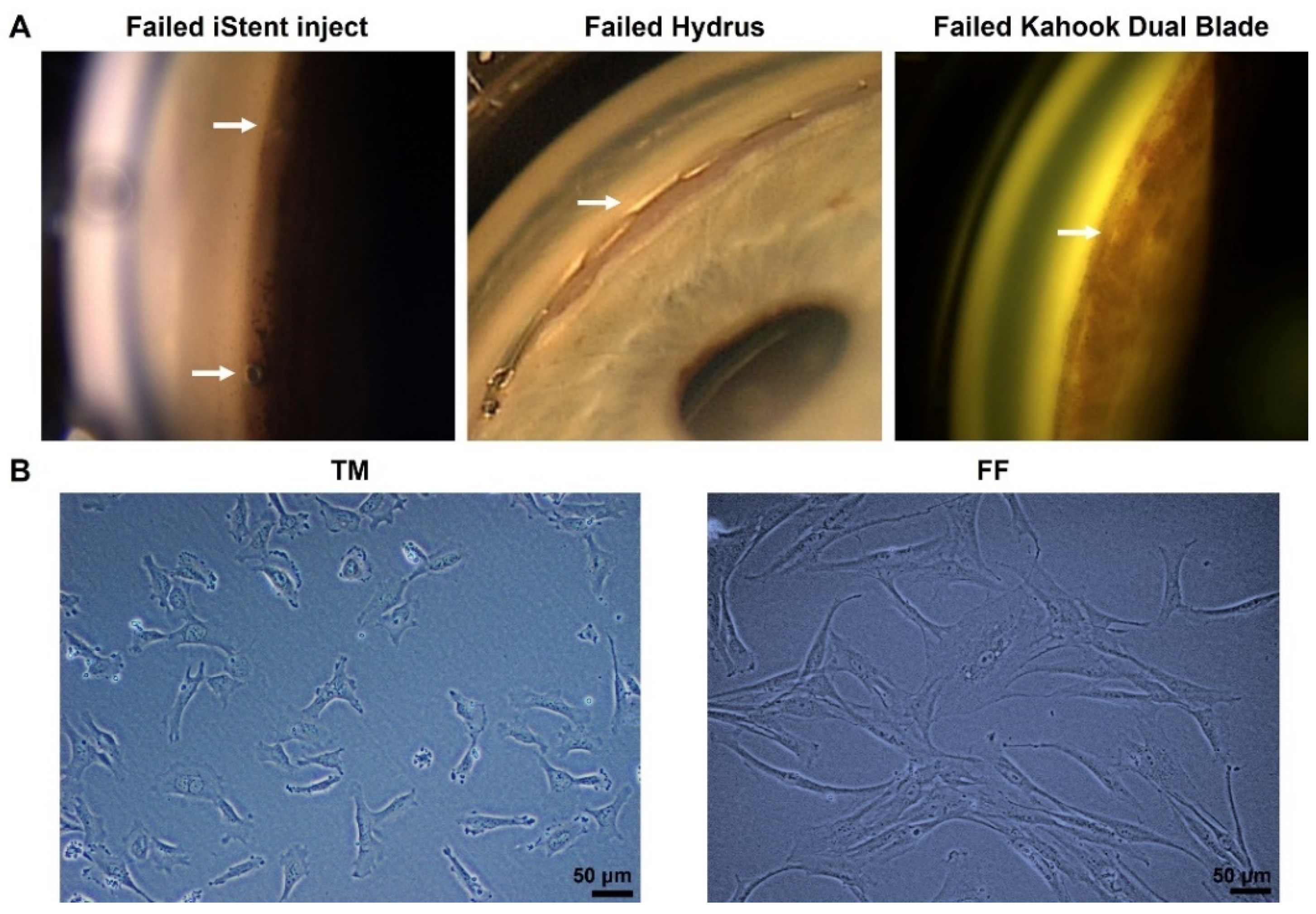 Pharmaceutics 14 02472 g001