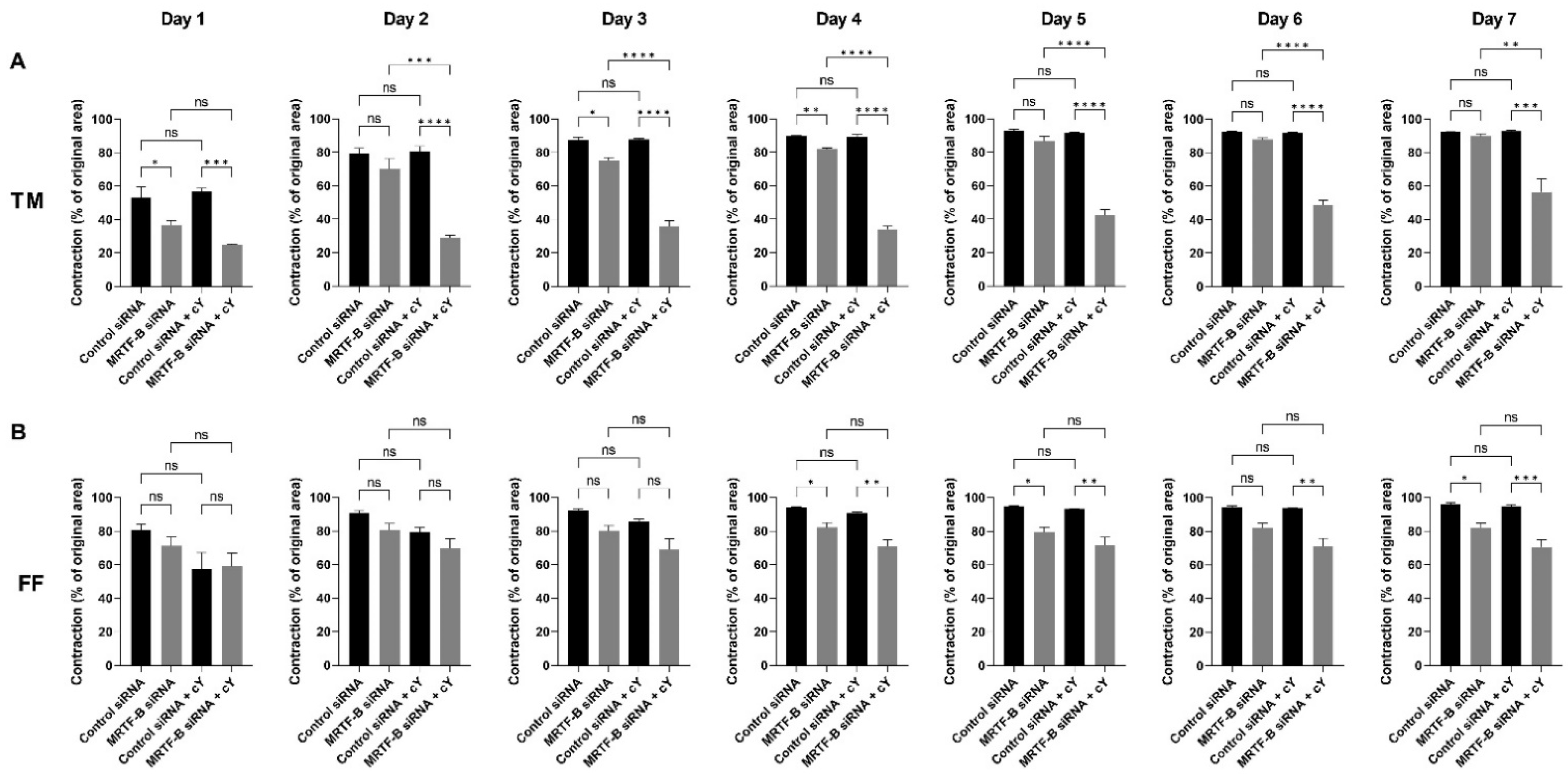 Pharmaceutics 14 02472 g007