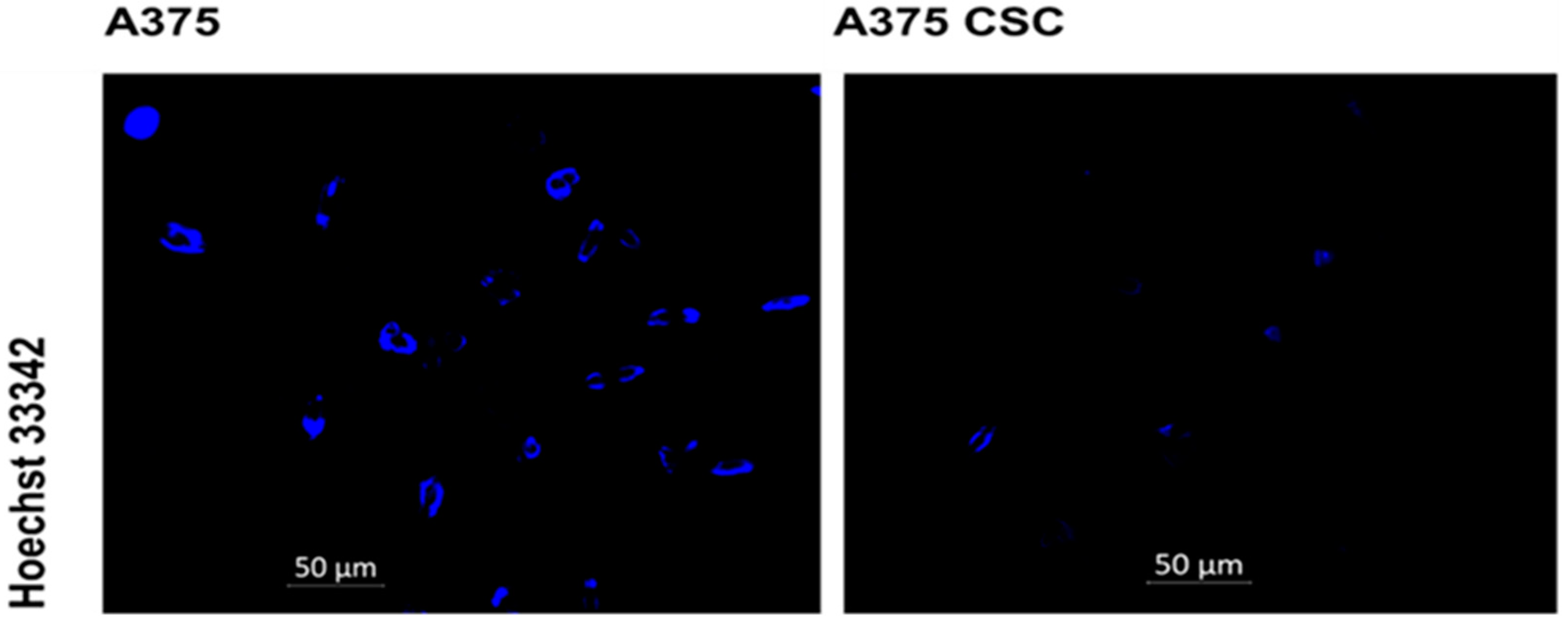 Pharmaceutics 14 02474 g004