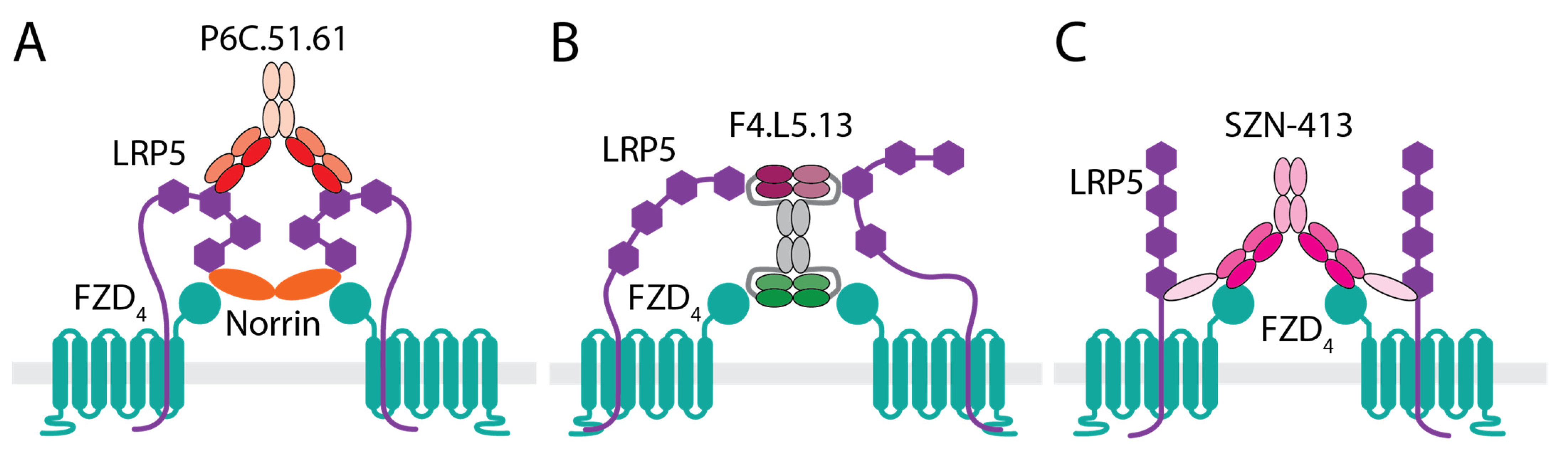 Pharmaceutics 14 02476 g002 Pharmaceutics 14 02476 g002