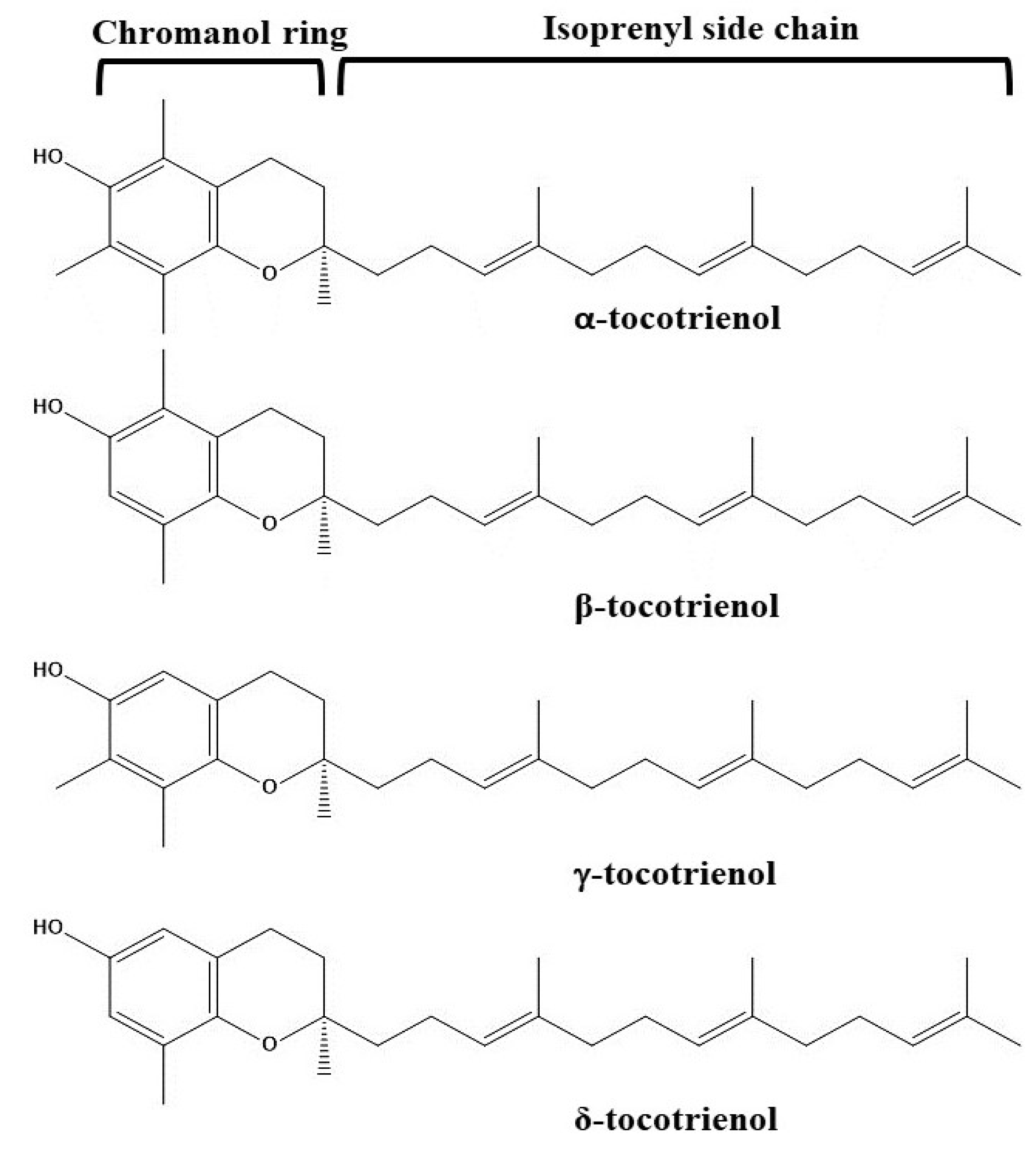 Tocotrienol in the Treatment of Topical Wounds: Recent Updates