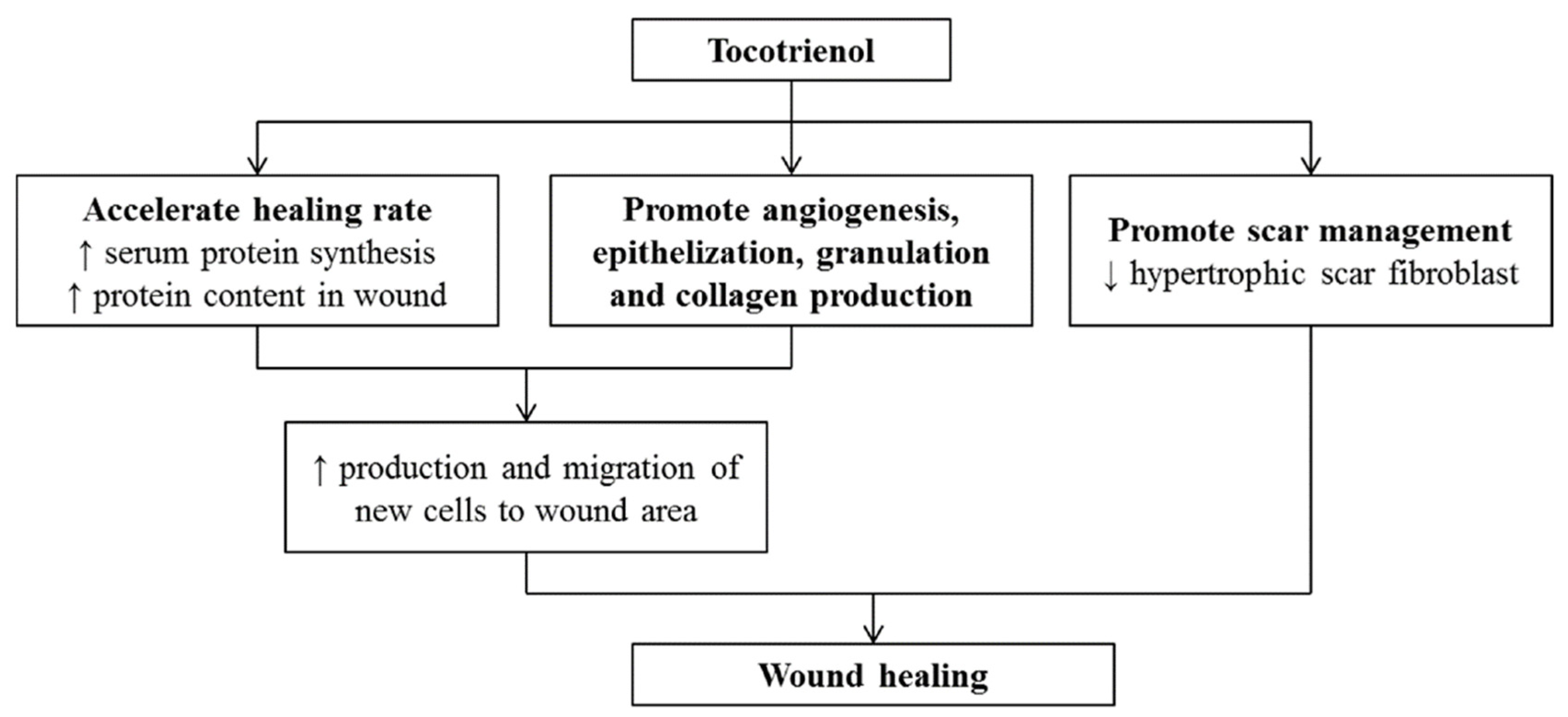 Pharmaceutics 14 02479 g003 Pharmaceutics 14 02479 g003