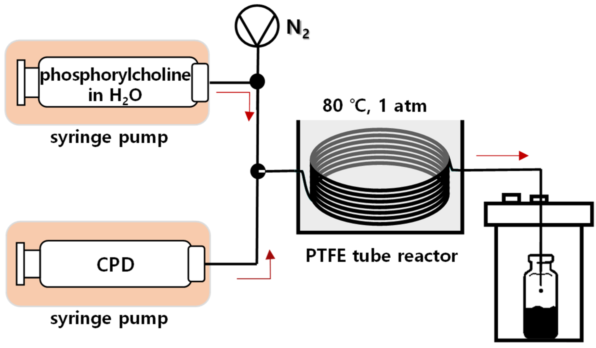 Pharmaceutics 14 02480 g005