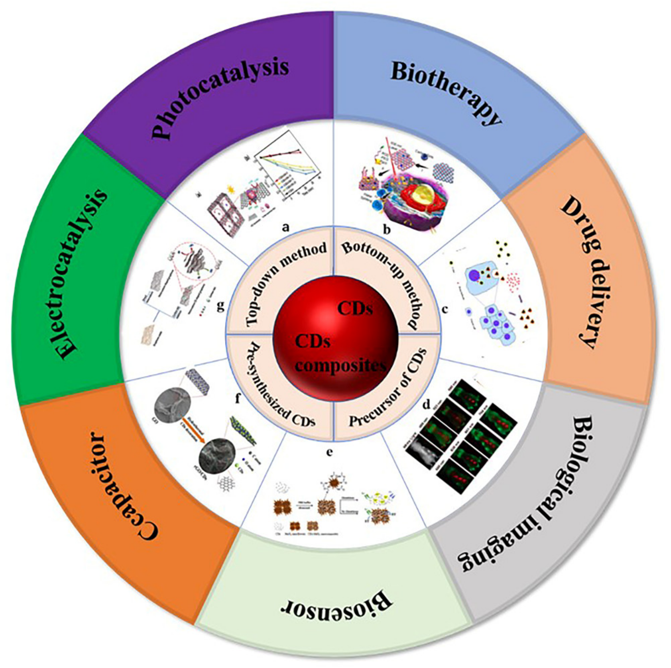 Pharmaceutics 14 02482 g001 Pharmaceutics 14 02482 g001