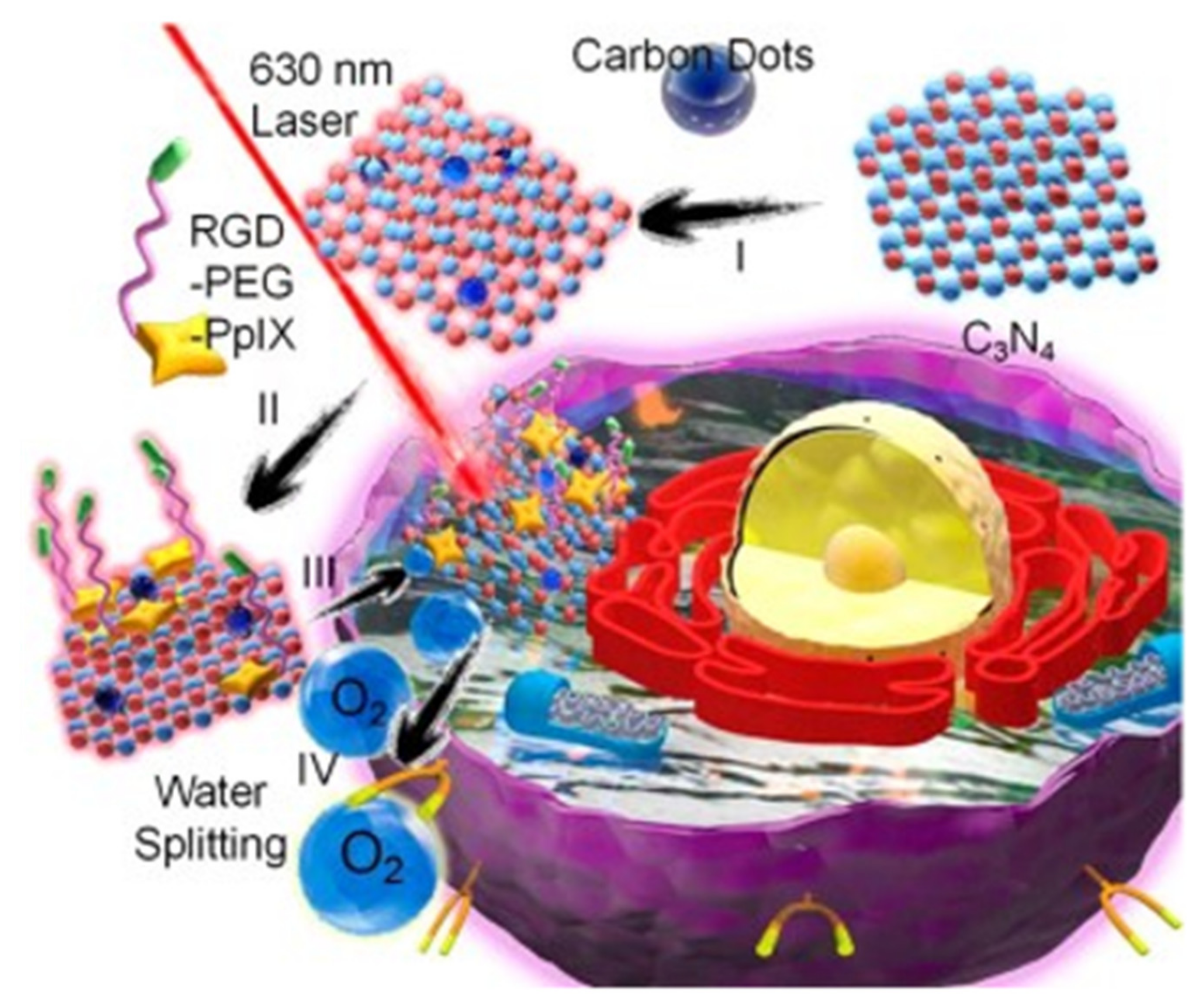 Pharmaceutics 14 02482 g004 Pharmaceutics 14 02482 g004