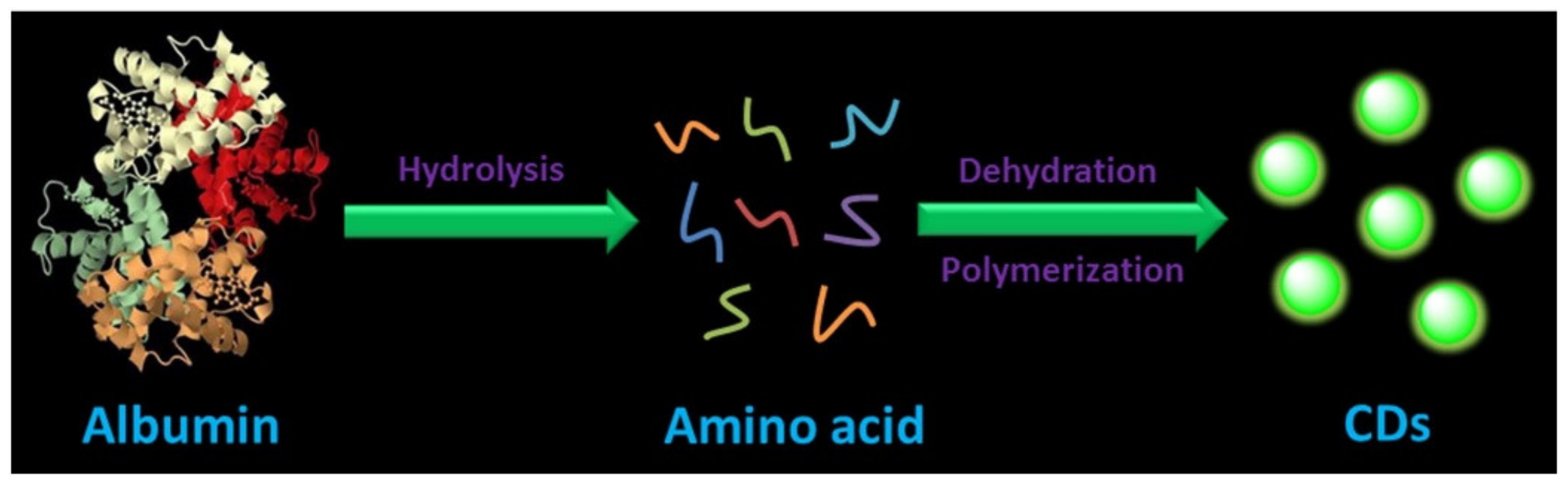 Pharmaceutics 14 02482 g008 Pharmaceutics 14 02482 g008