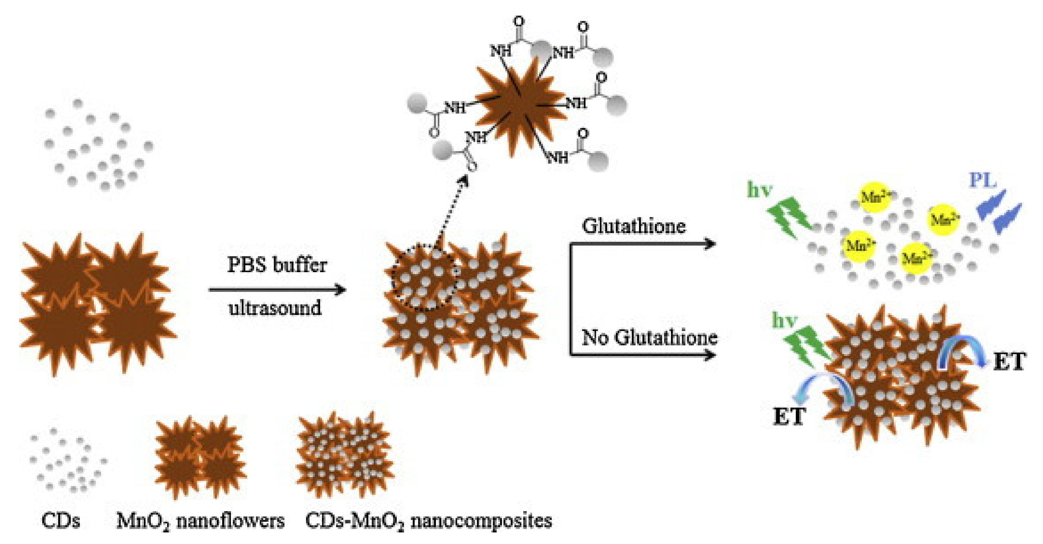 Pharmaceutics 14 02482 g010 Pharmaceutics 14 02482 g010