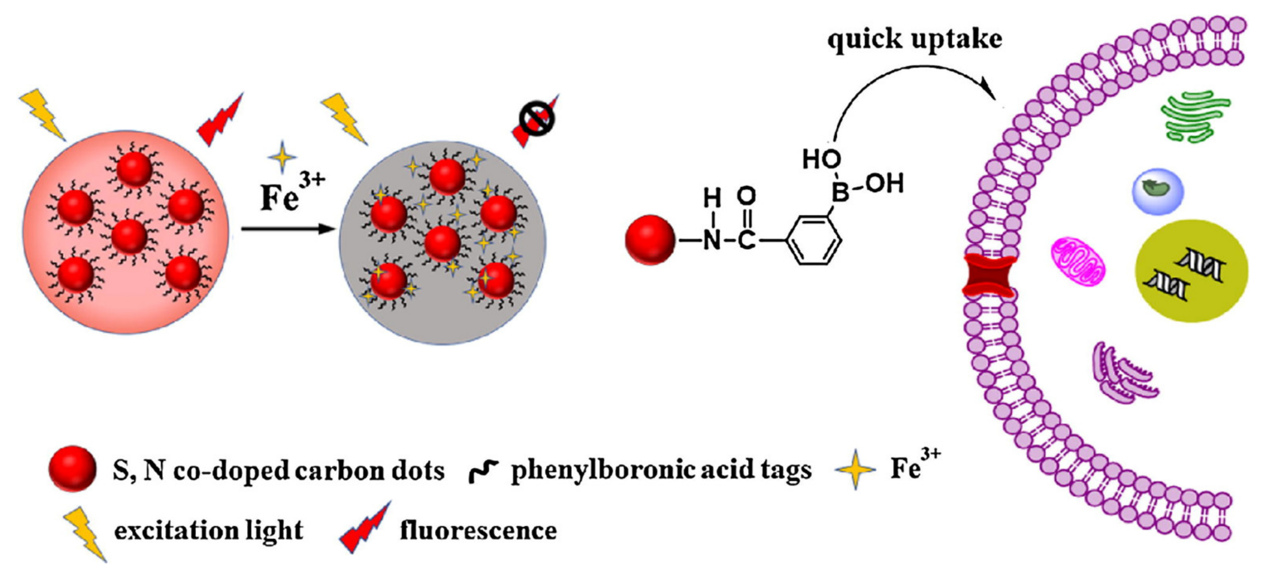 Pharmaceutics 14 02482 g011 Pharmaceutics 14 02482 g011