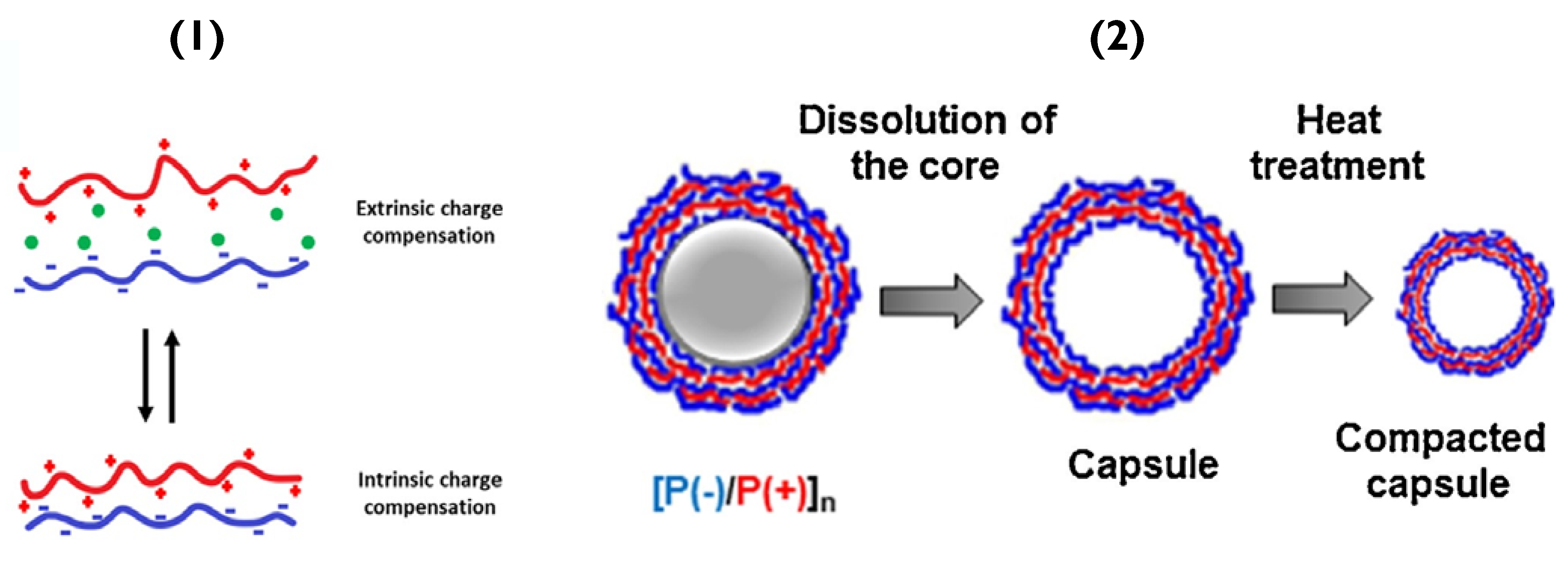 Pharmaceutics 14 02483 g003 Pharmaceutics 14 02483 g003
