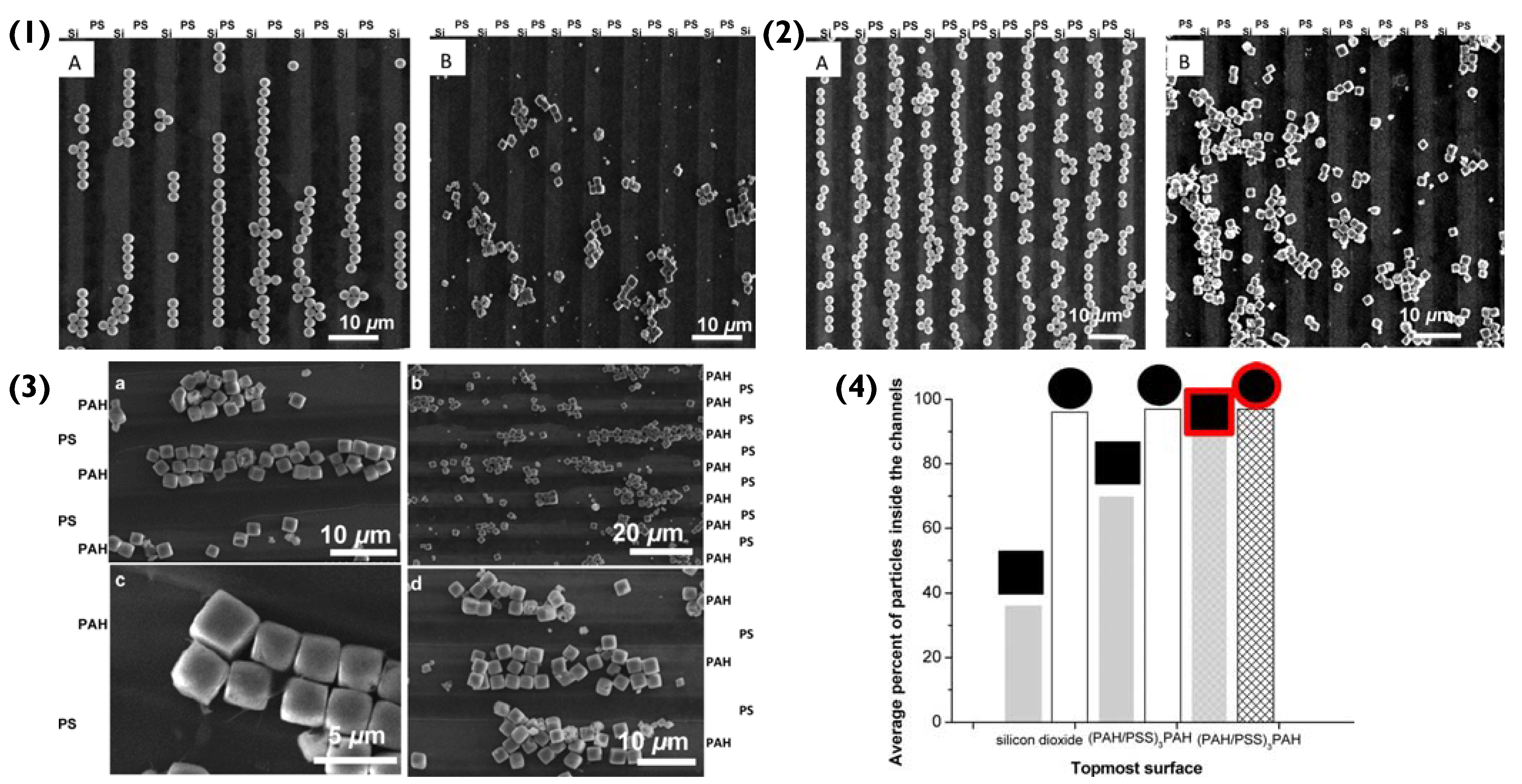 Pharmaceutics 14 02483 g004 Pharmaceutics 14 02483 g004